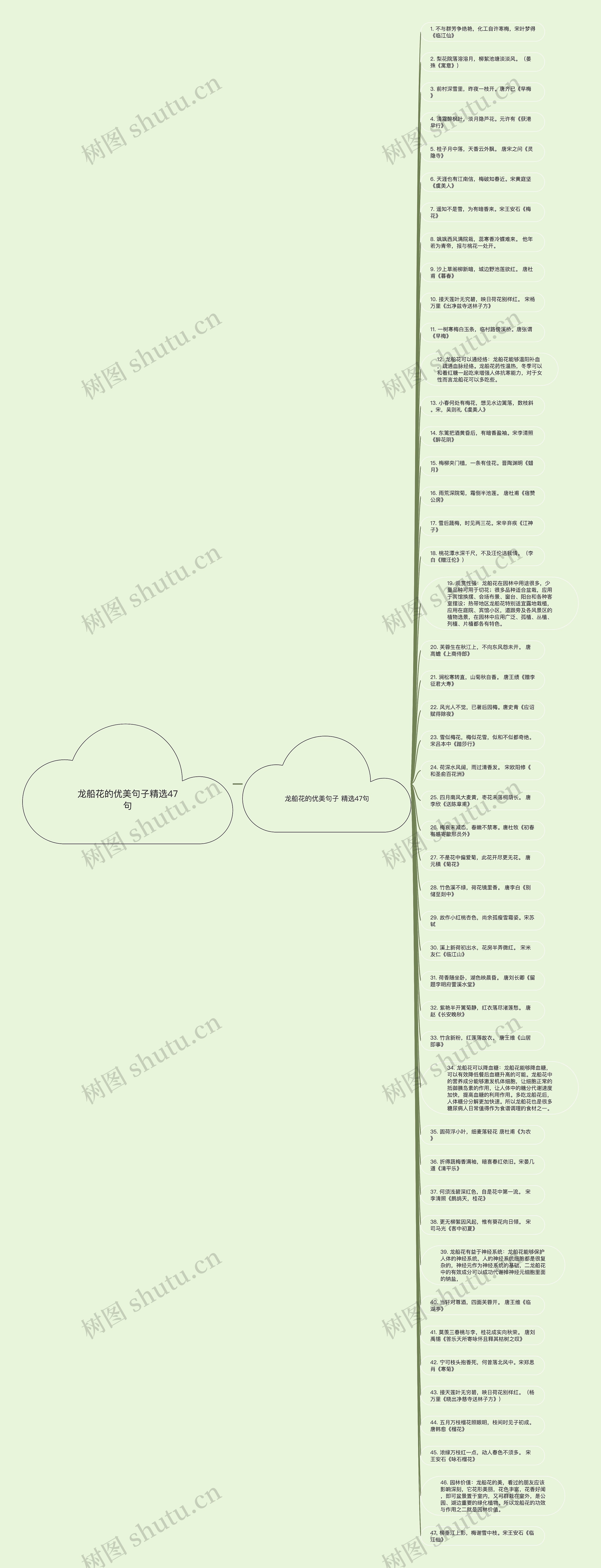 龙船花的优美句子精选47句思维导图高清图 龙船花的优美句子精选47句思维导图