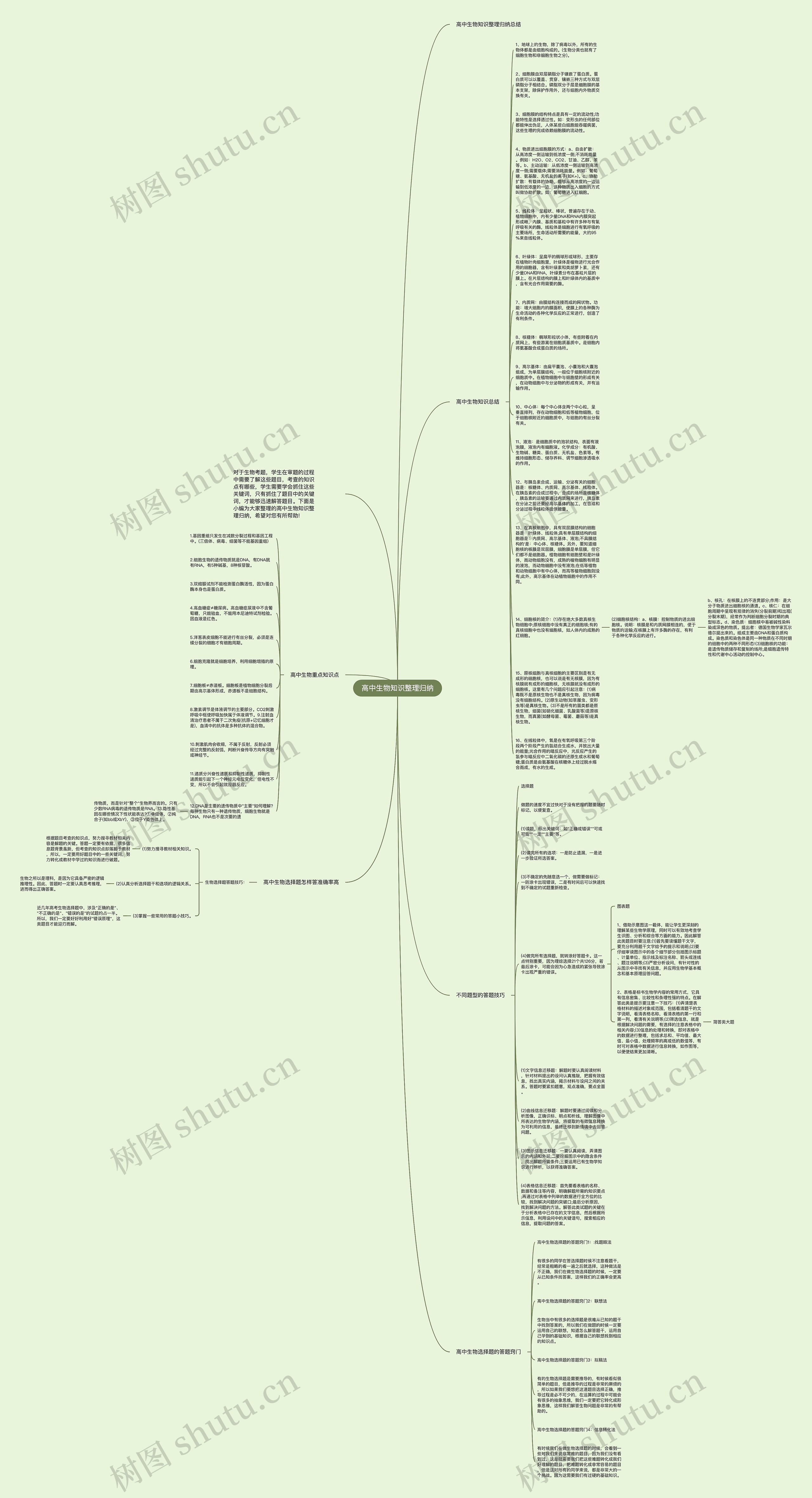 高中生物知识整理归纳思维导图