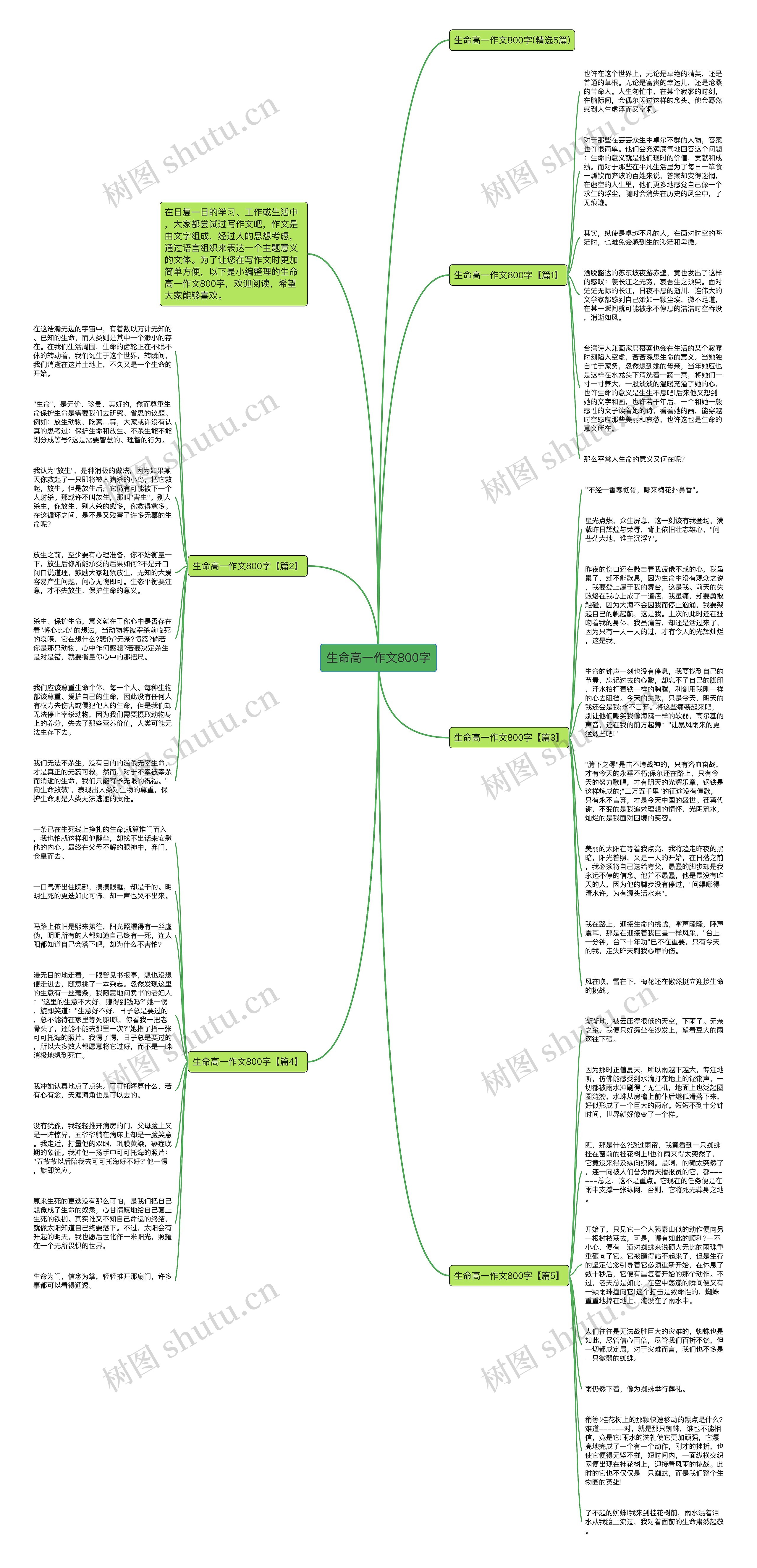 生命高一作文800字思维导图