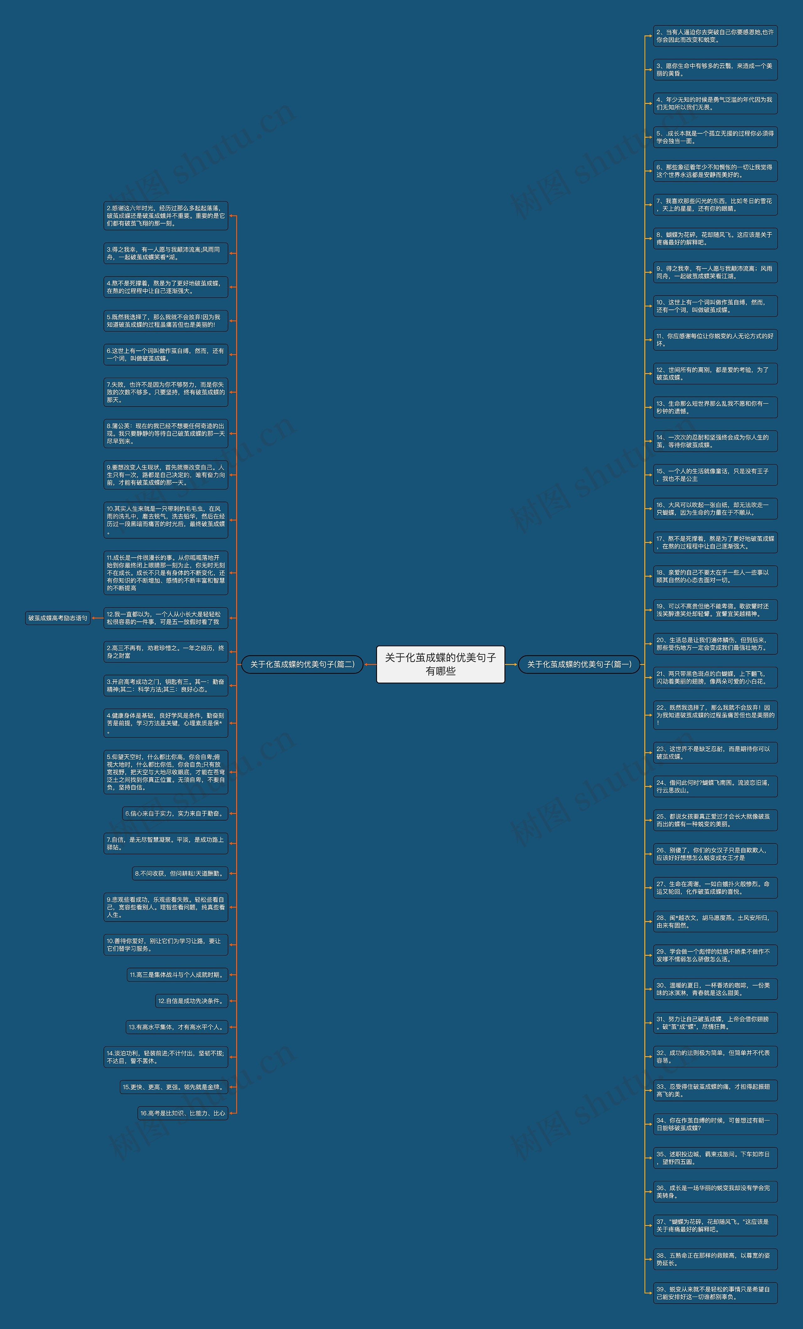 关于化茧成蝶的优美句子有哪些思维导图