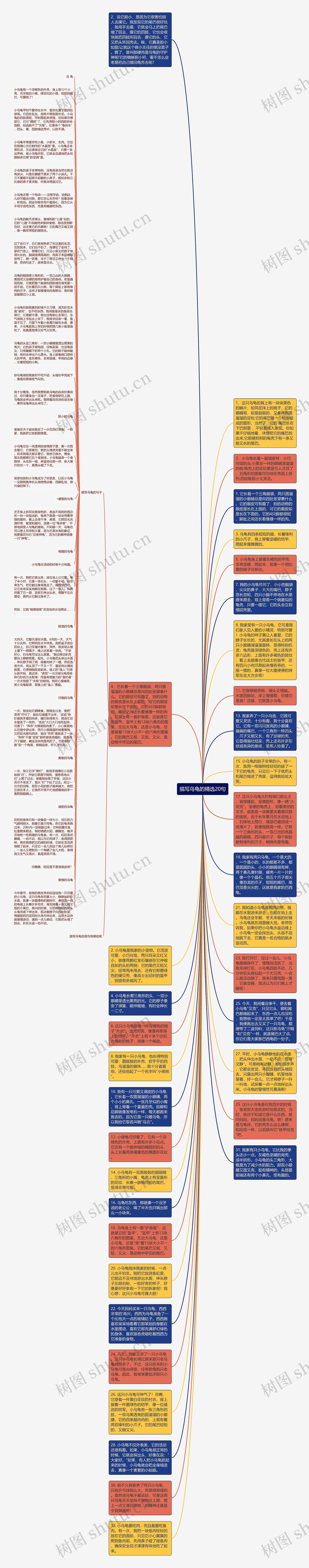 描写乌龟的精选20句思维导图