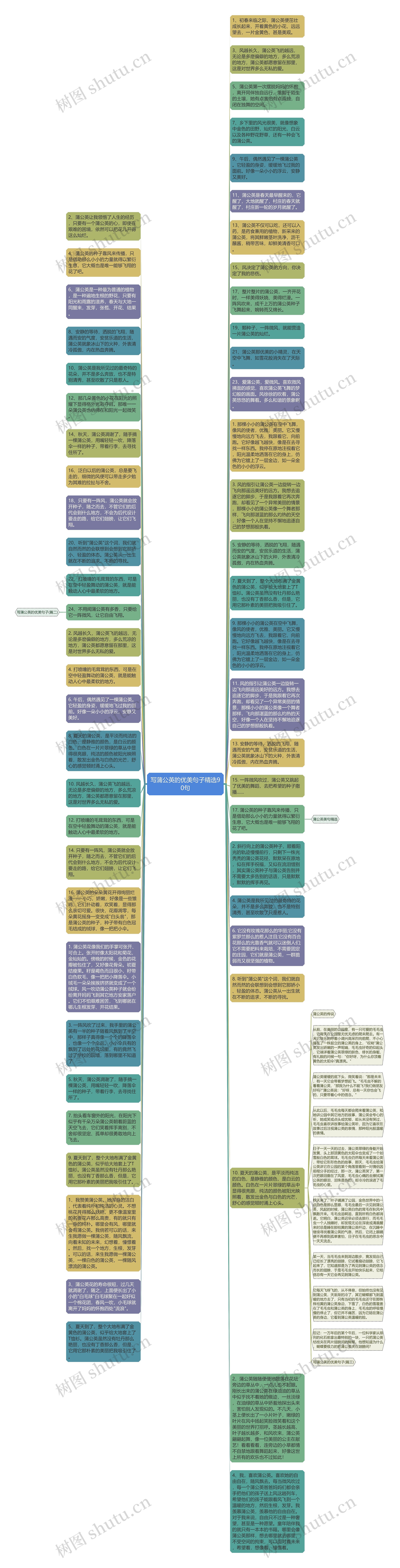 写蒲公英的优美句子精选90句思维导图