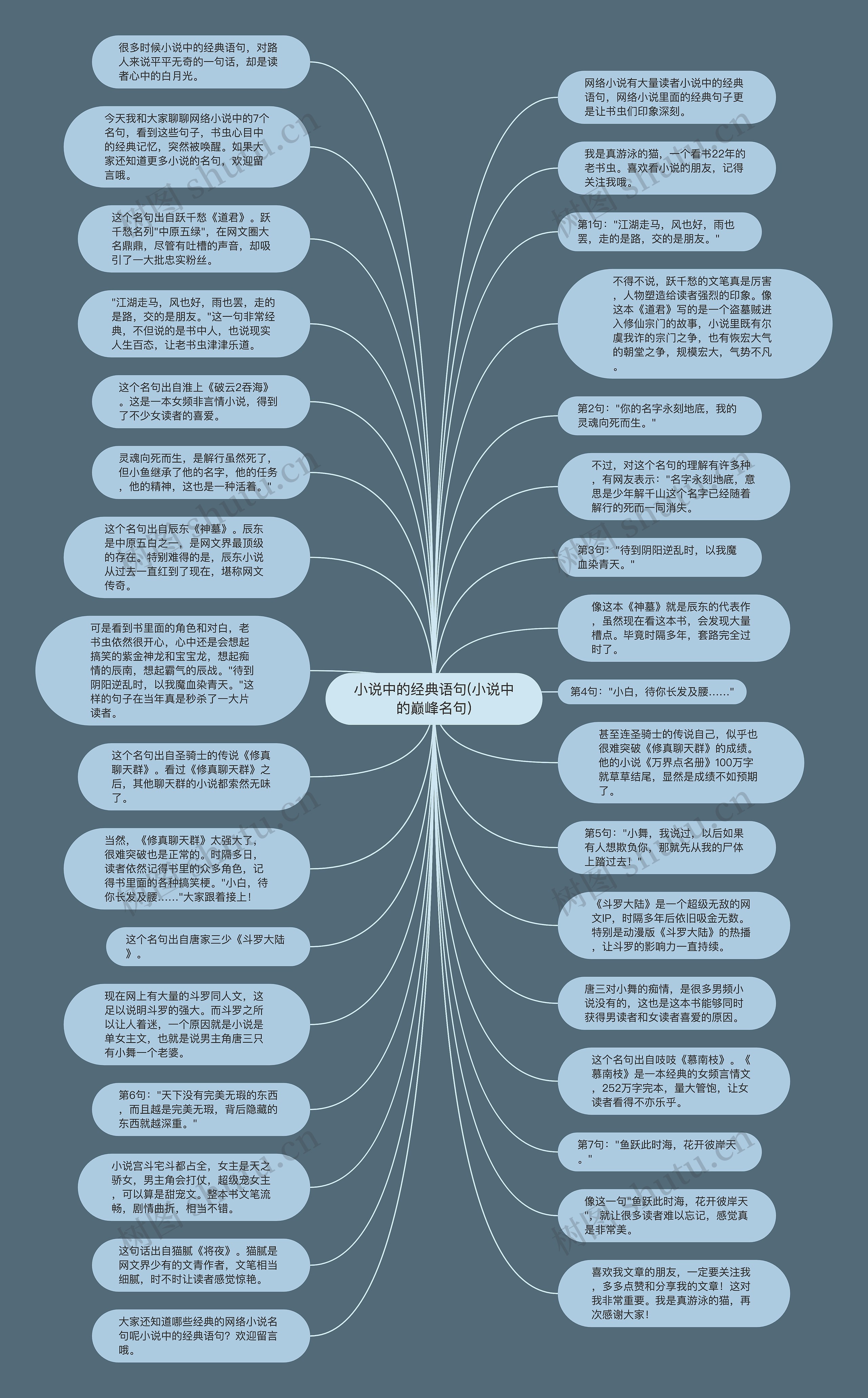 小说中的经典语句(小说中的巅峰名句)思维导图