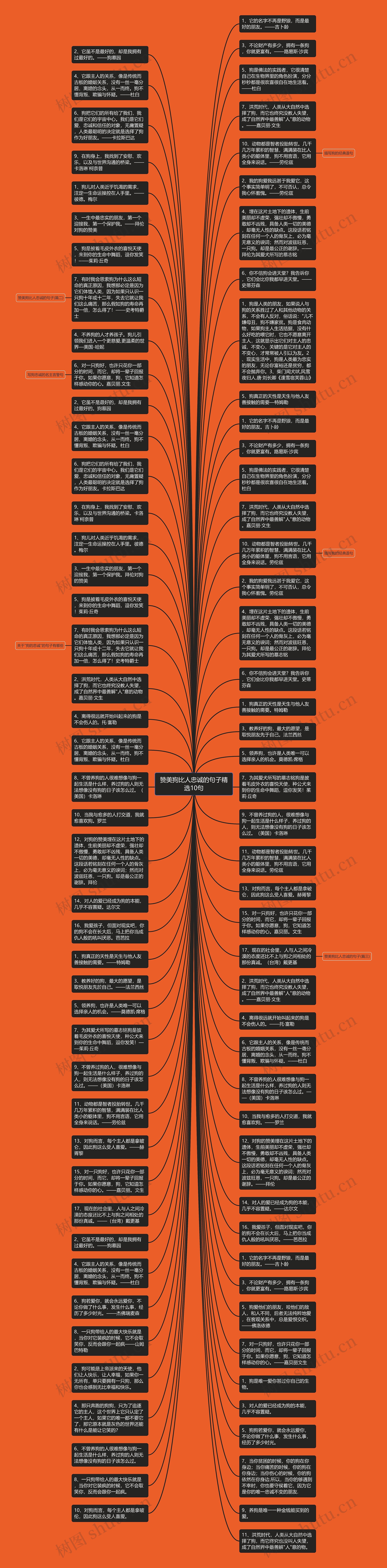 赞美狗比人忠诚的句子精选10句思维导图