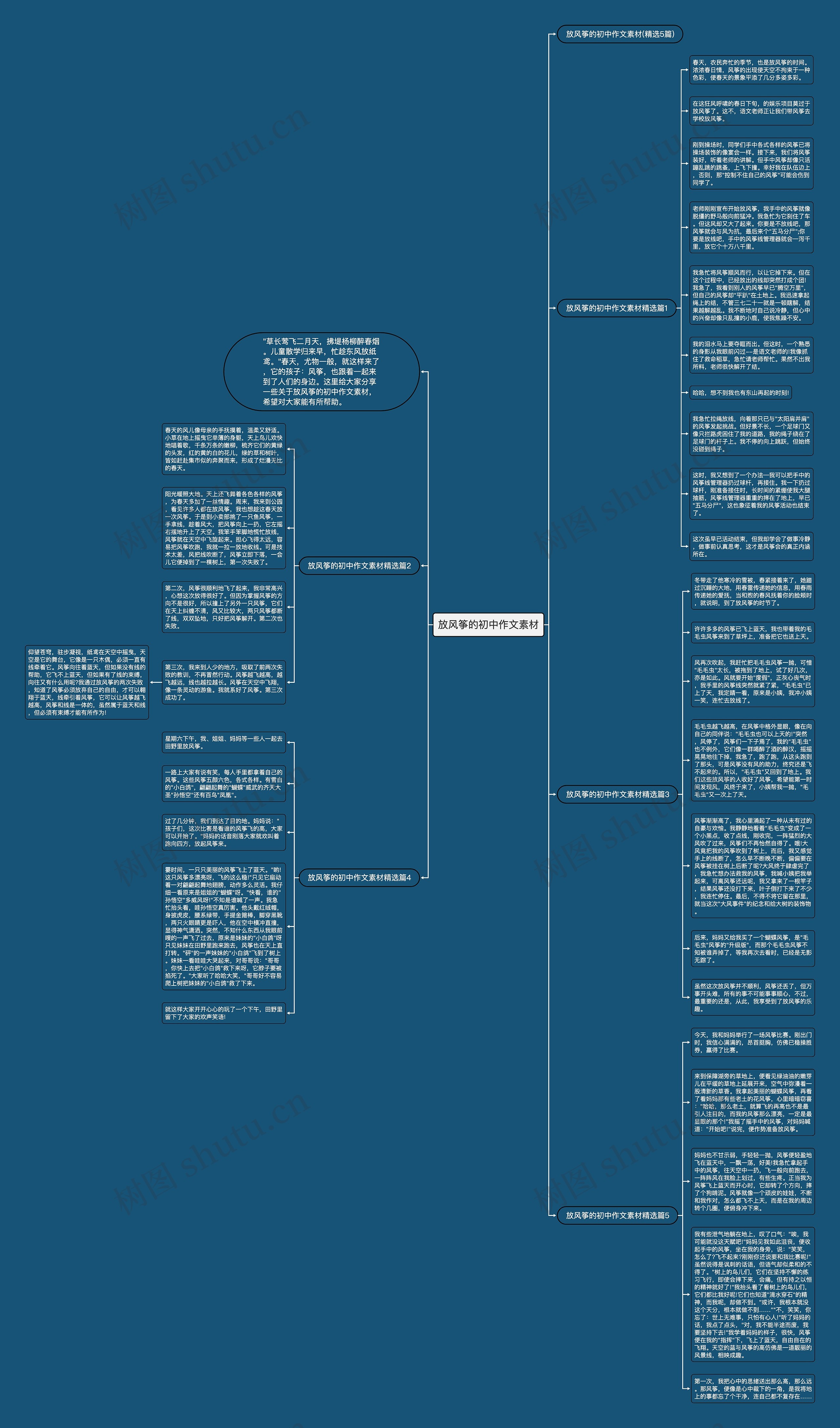 放风筝的初中作文素材思维导图