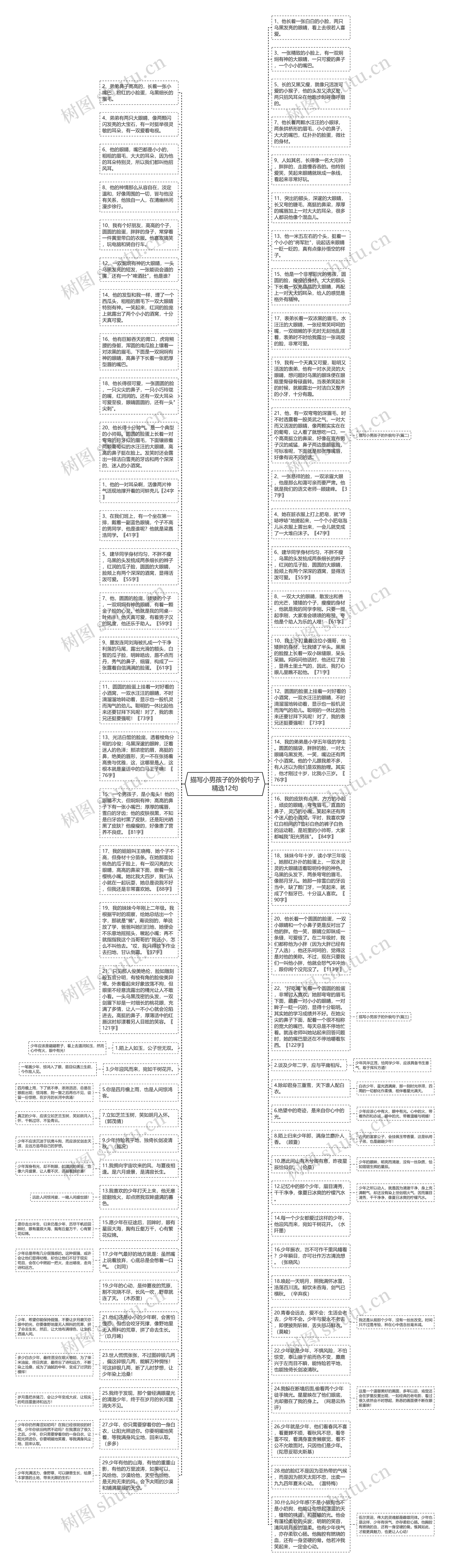 描写小男孩子的外貌句子精选12句思维导图