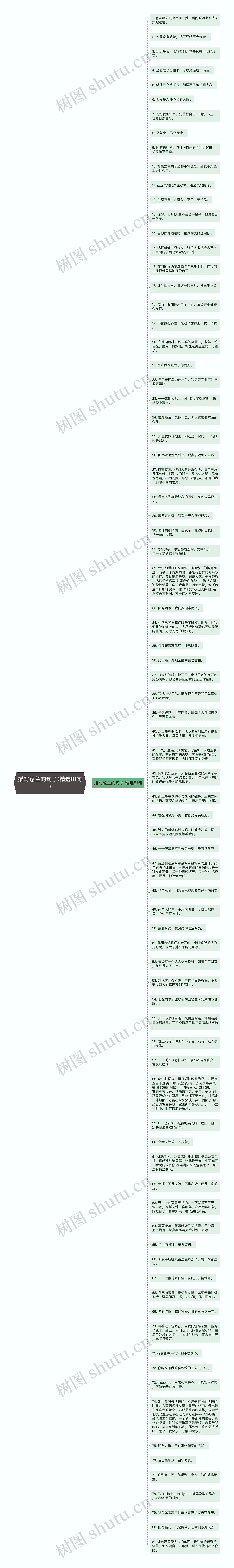 描写葱兰的句子(精选81句)思维导图