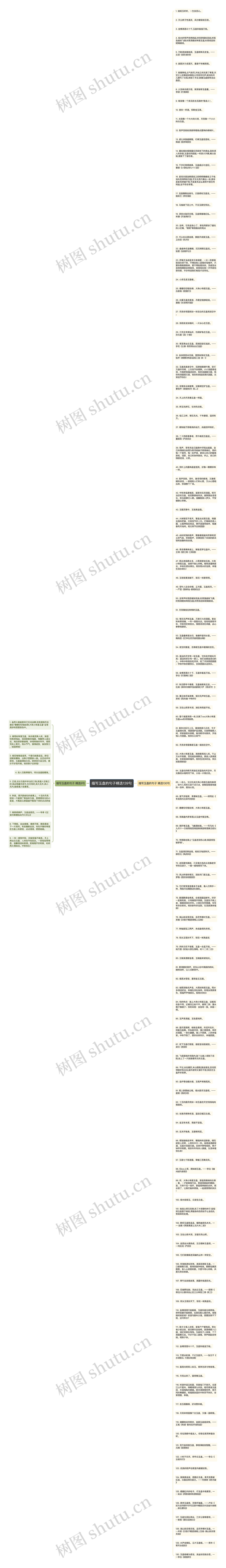 描写玉盘的句子精选139句思维导图