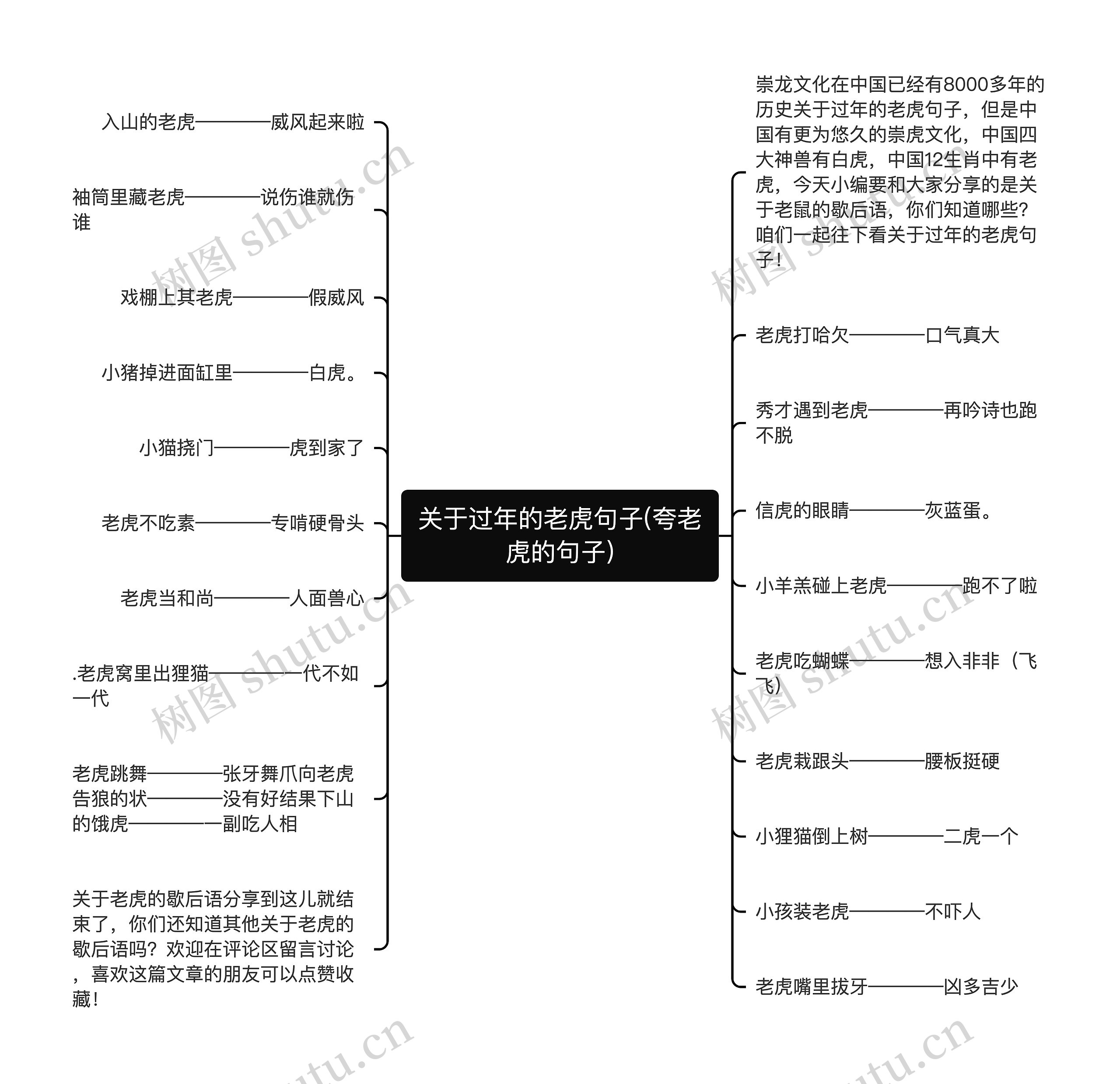 关于过年的老虎句子(夸老虎的句子)思维导图