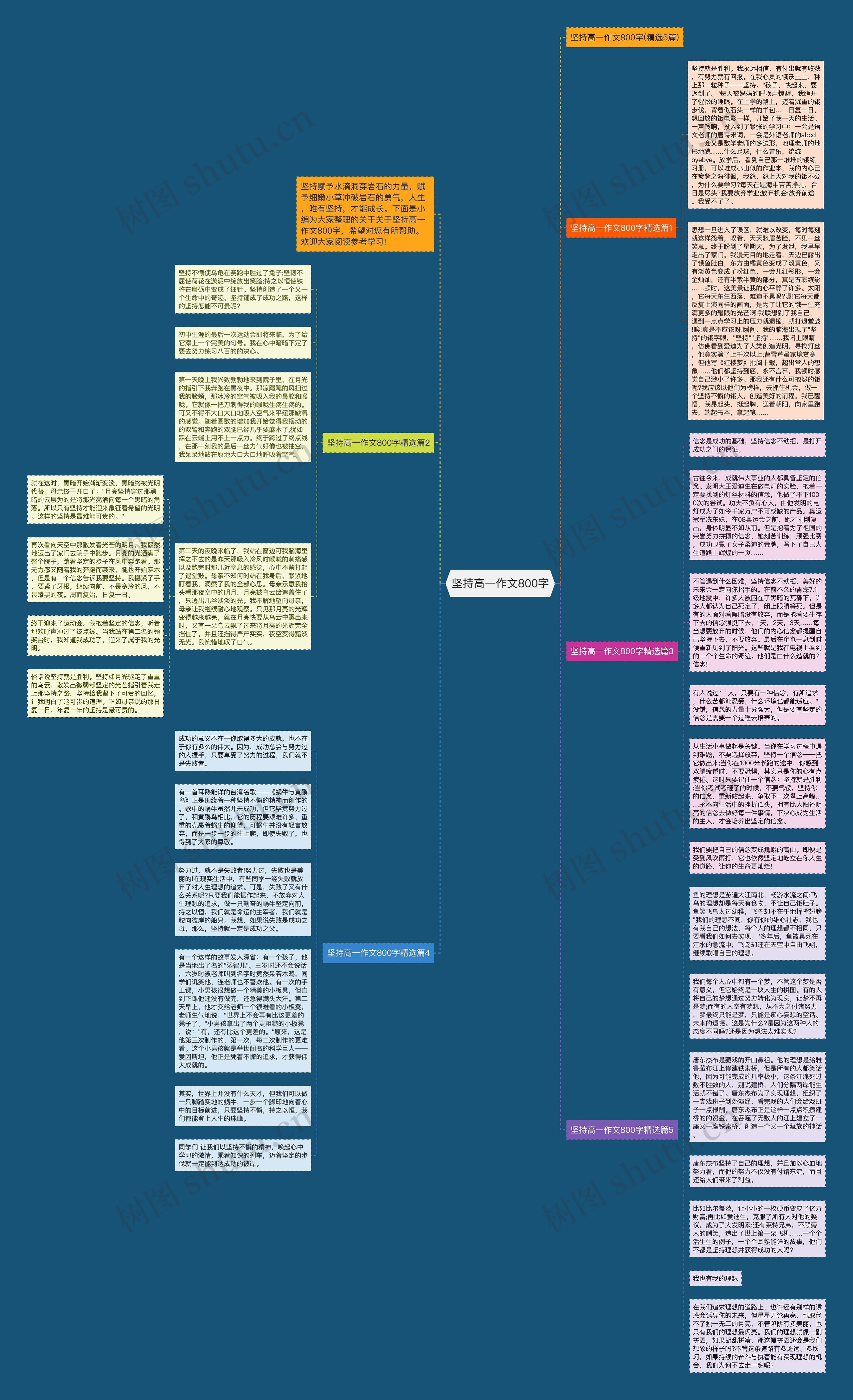 坚持高一作文800字思维导图