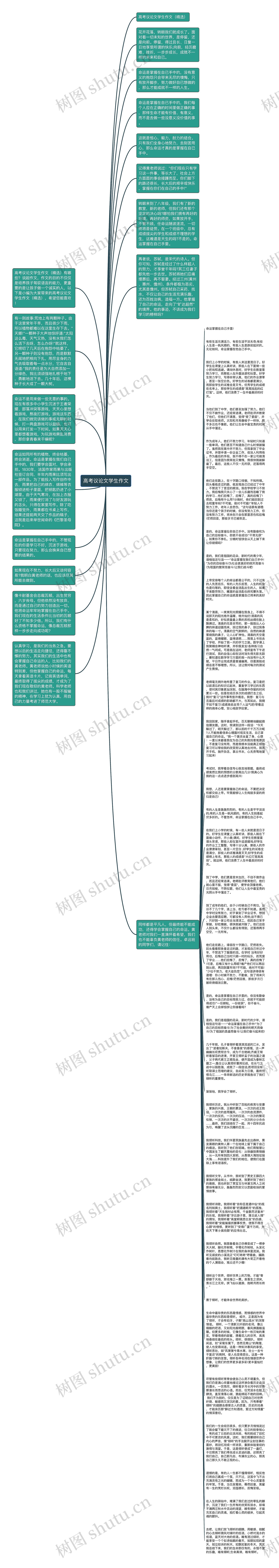 高考议论文学生作文思维导图