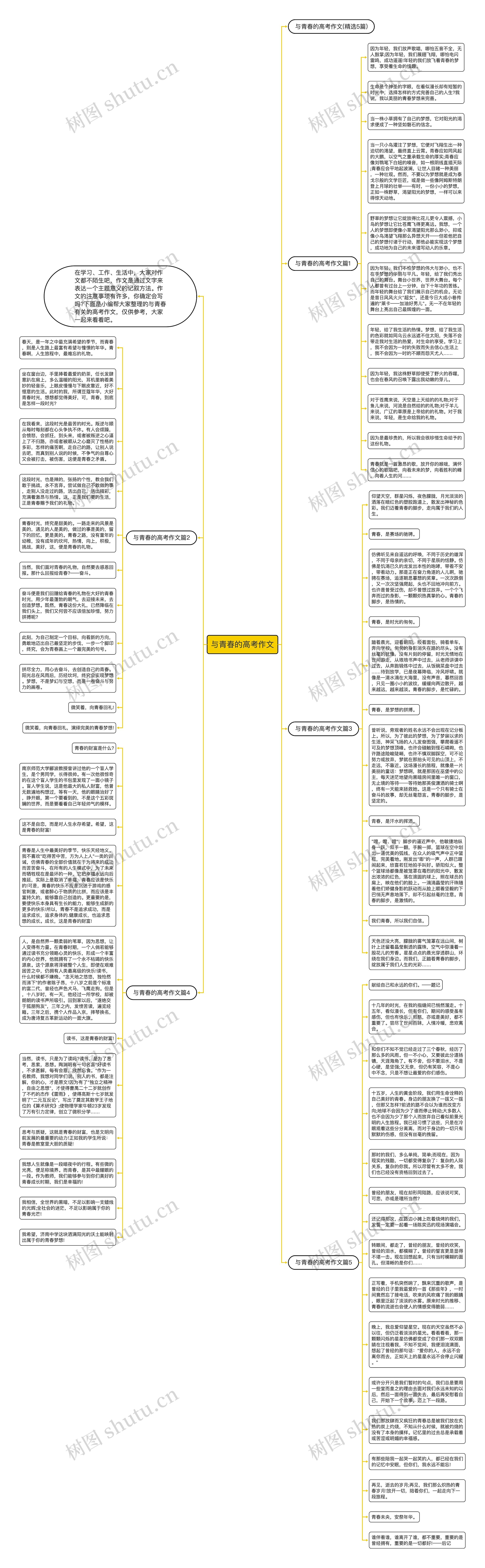 与青春的高考作文思维导图