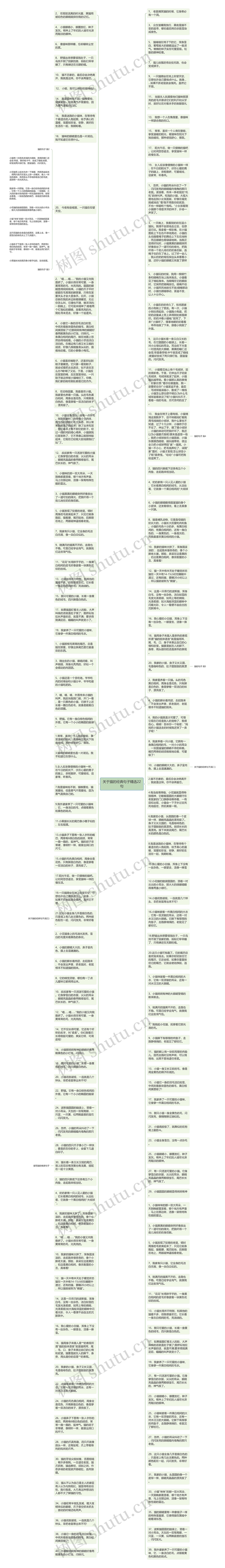 关于猫的经典句子精选22句