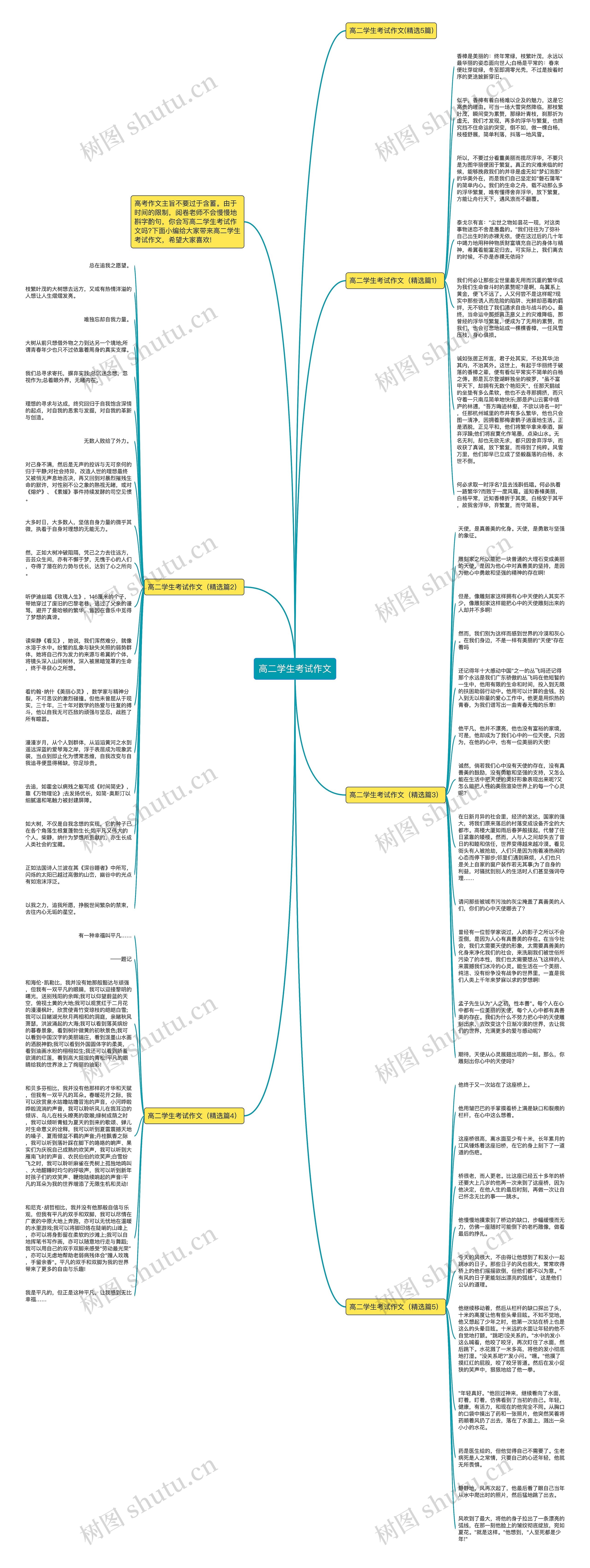 高二学生考试作文思维导图