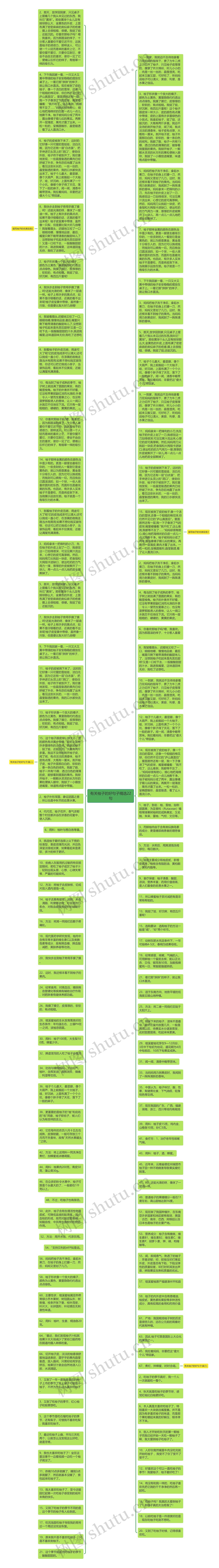 有关柚子的好句子精选22句思维导图