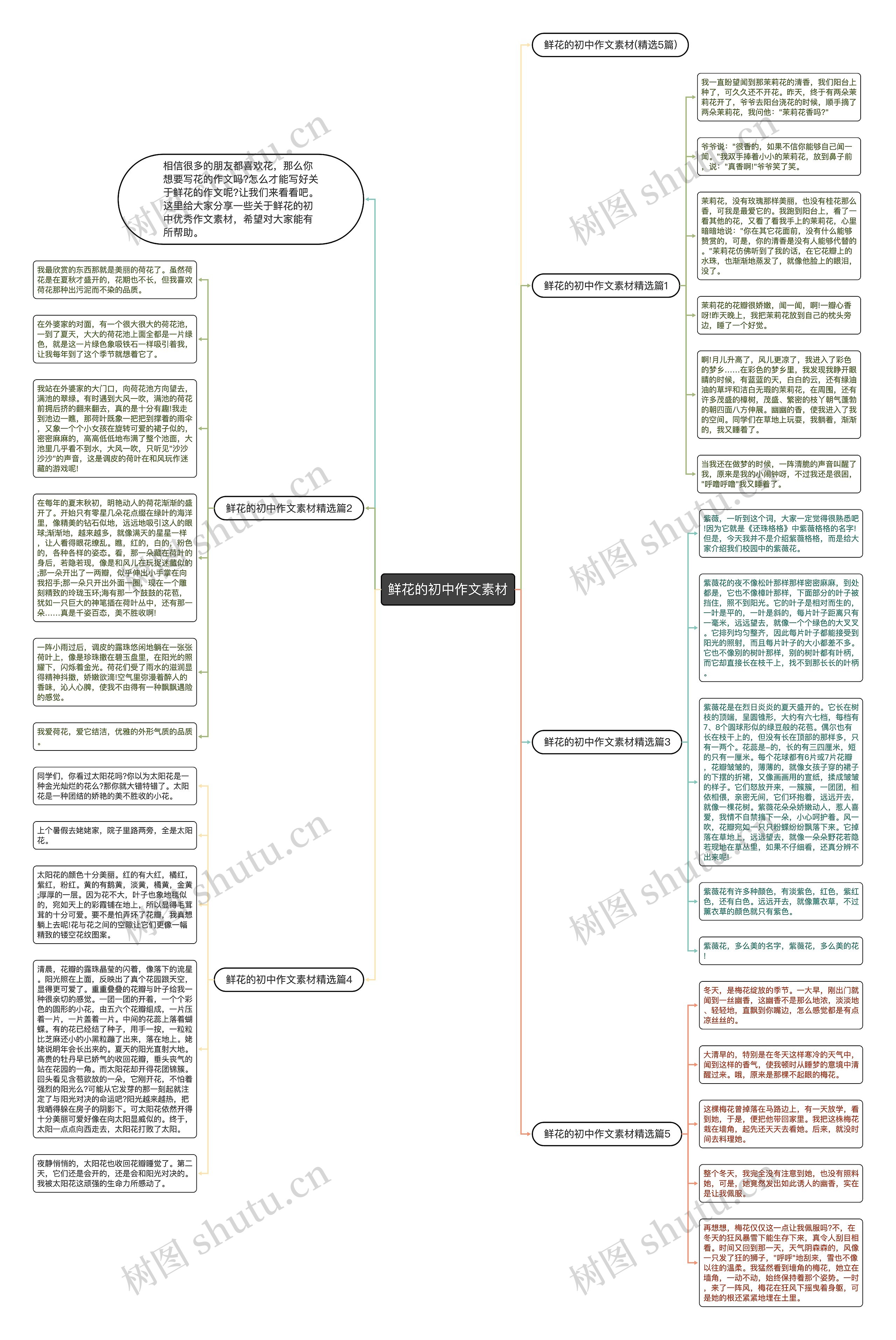 鲜花的初中作文素材思维导图