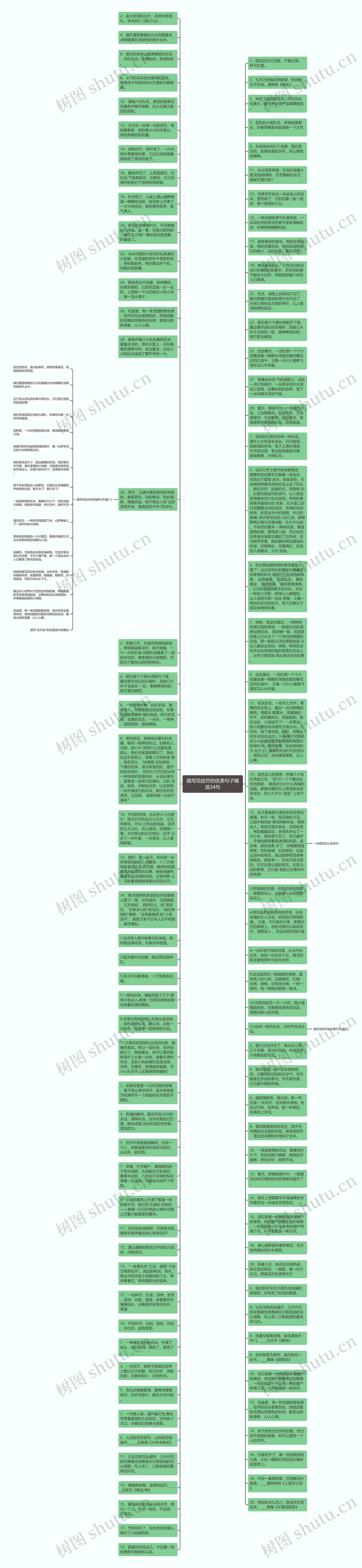 描写花绽开的优美句子精选34句思维导图