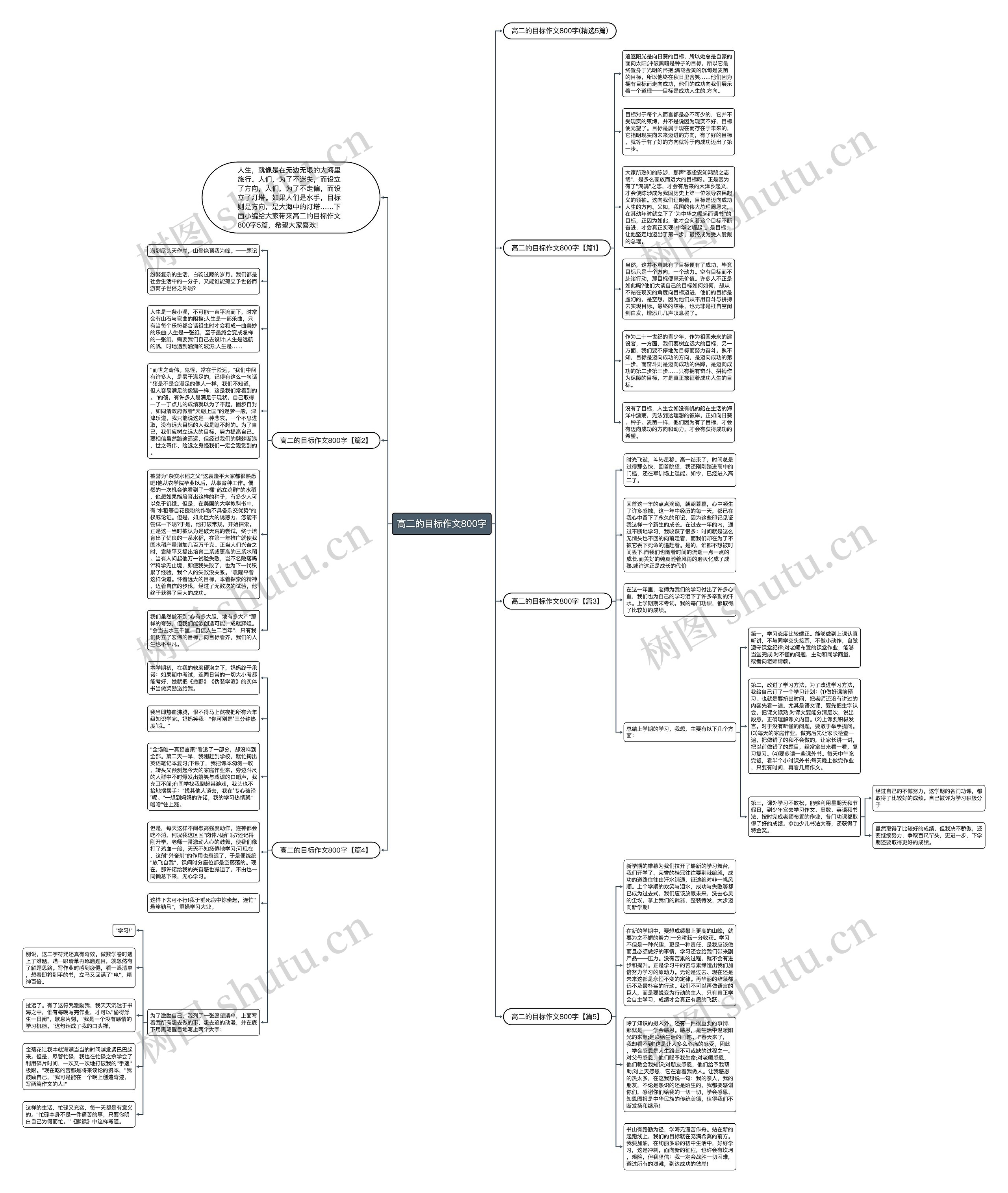 高二的目标作文800字思维导图