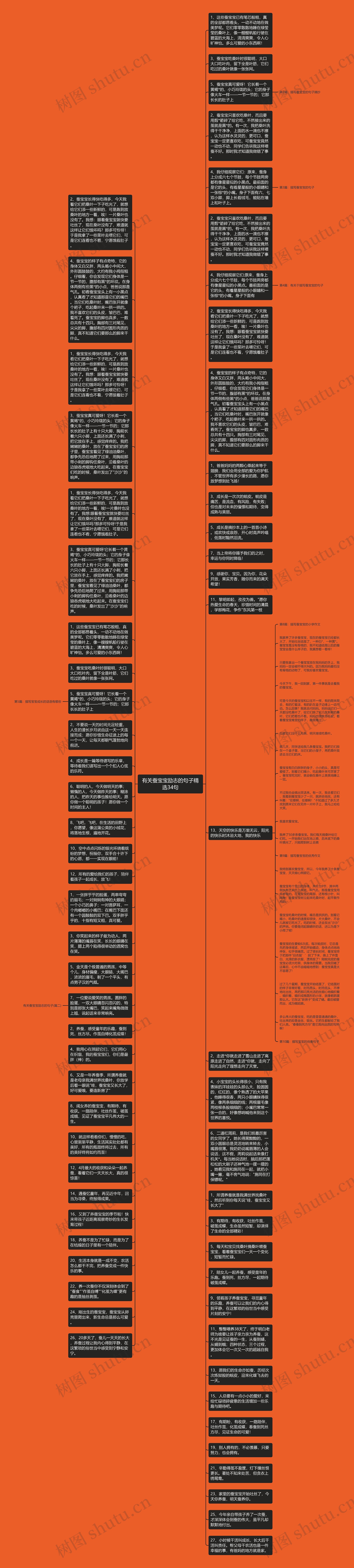 有关蚕宝宝励志的句子精选34句思维导图