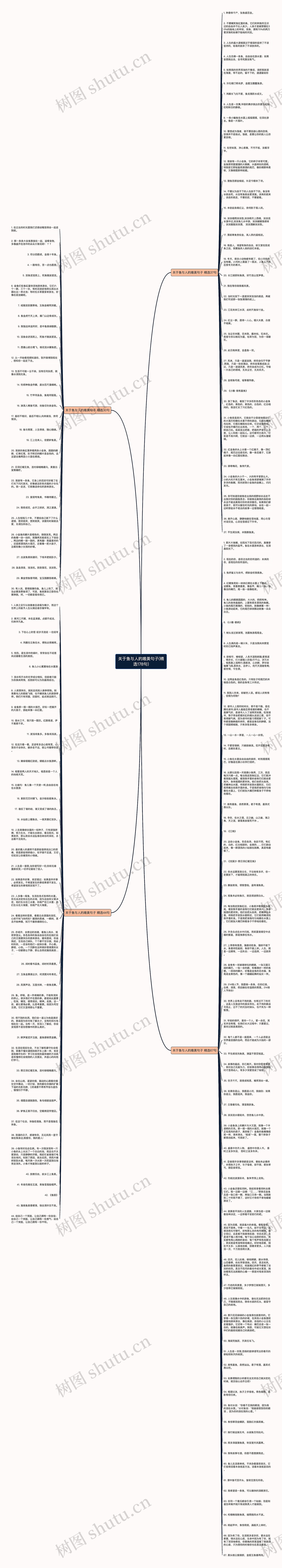 关于鱼与人的唯美句子(精选178句)思维导图