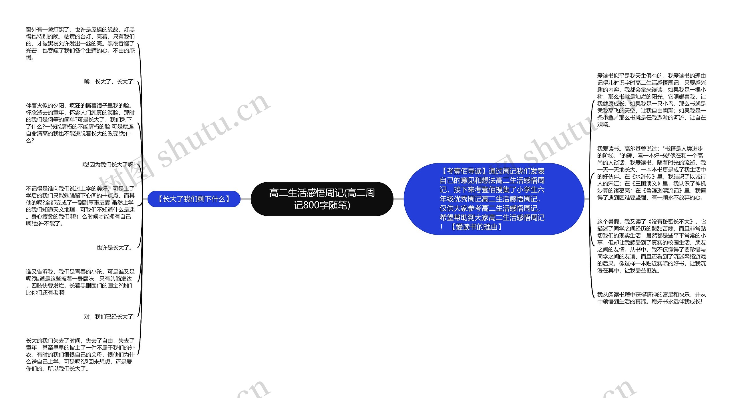 高二生活感悟周记(高二周记800字随笔)思维导图