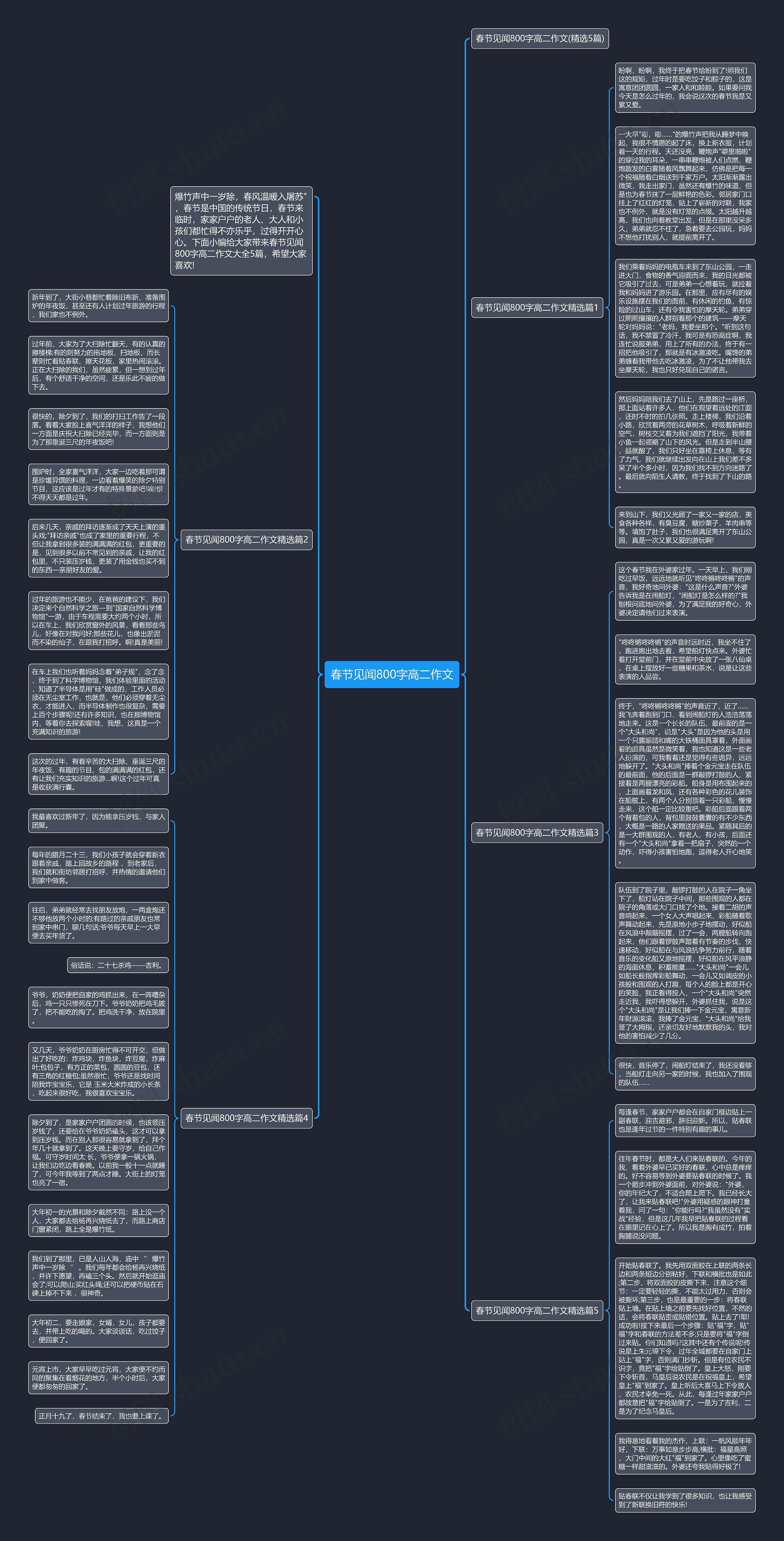 春节见闻800字高二作文思维导图