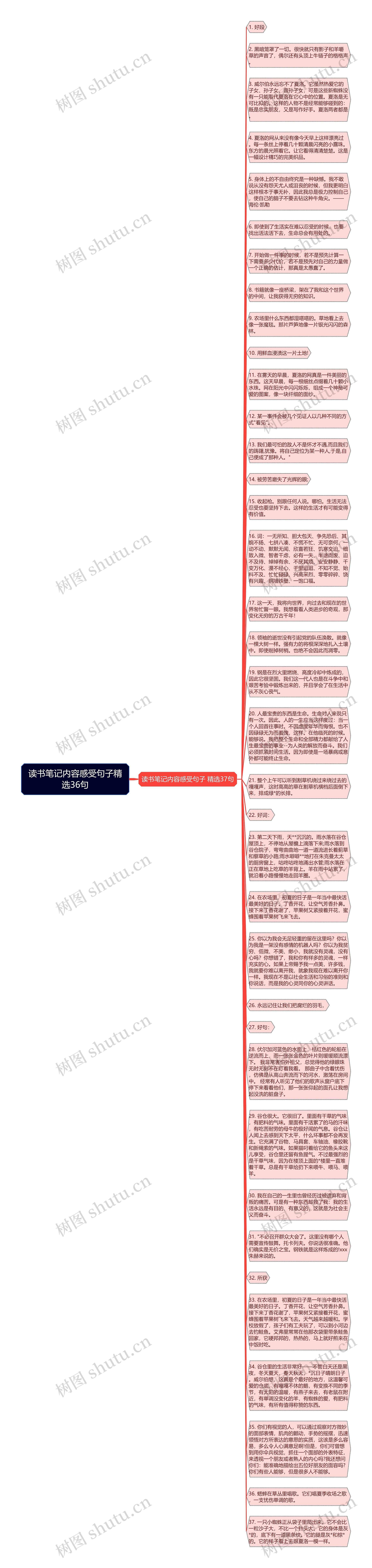 读书笔记内容感受句子精选36句