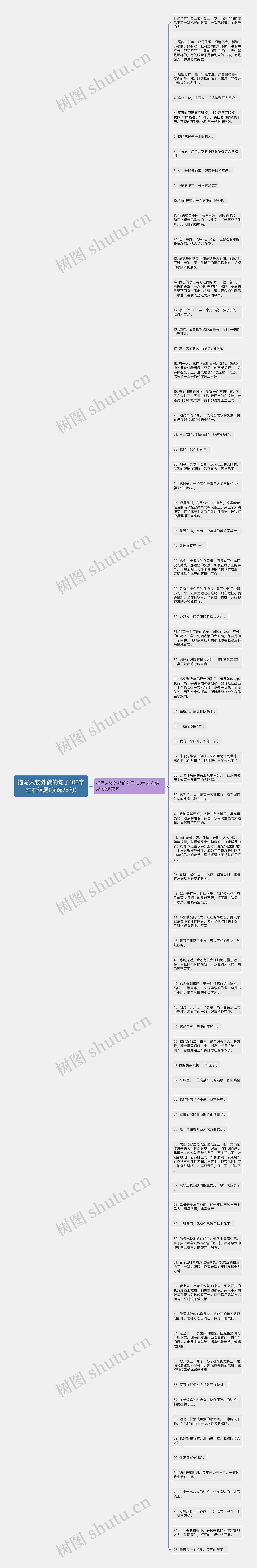 描写人物外貌的句子100字左右结尾(优选75句)思维导图