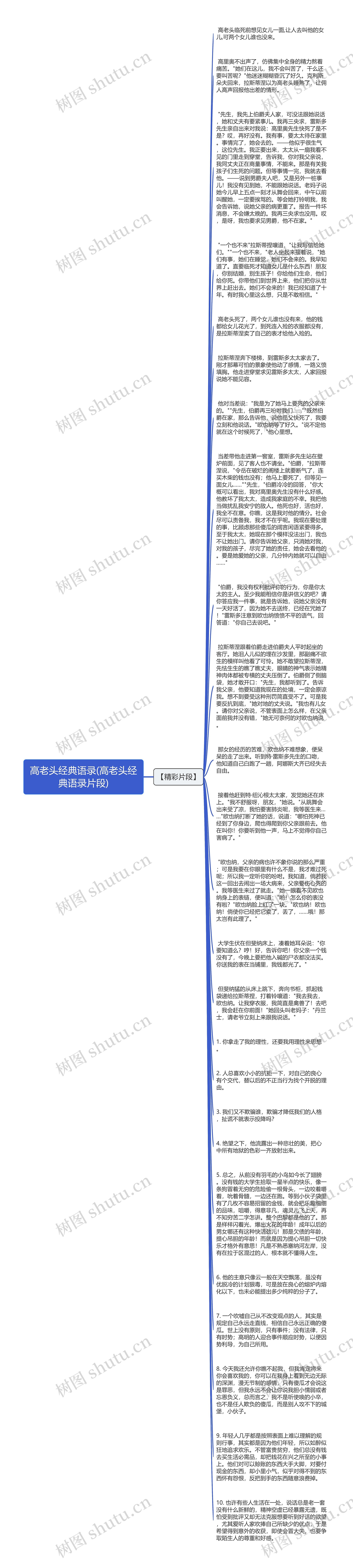 高老头经典语录(高老头经典语录片段)思维导图