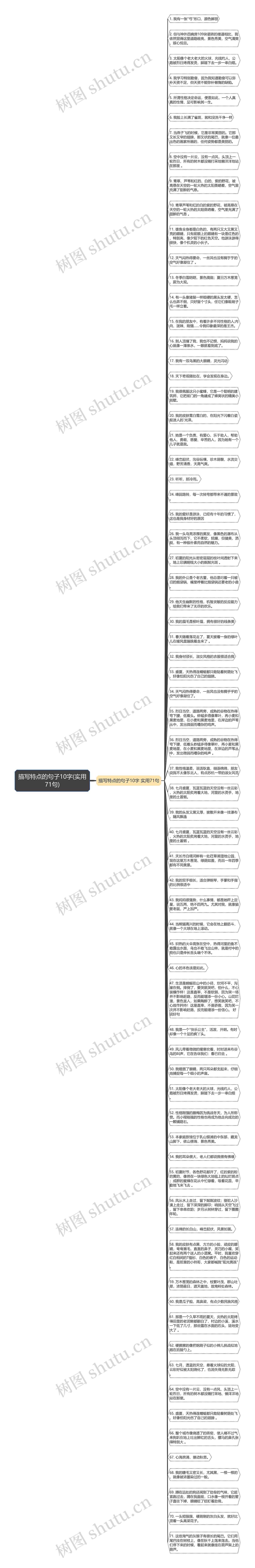 描写特点的句子10字(实用71句)