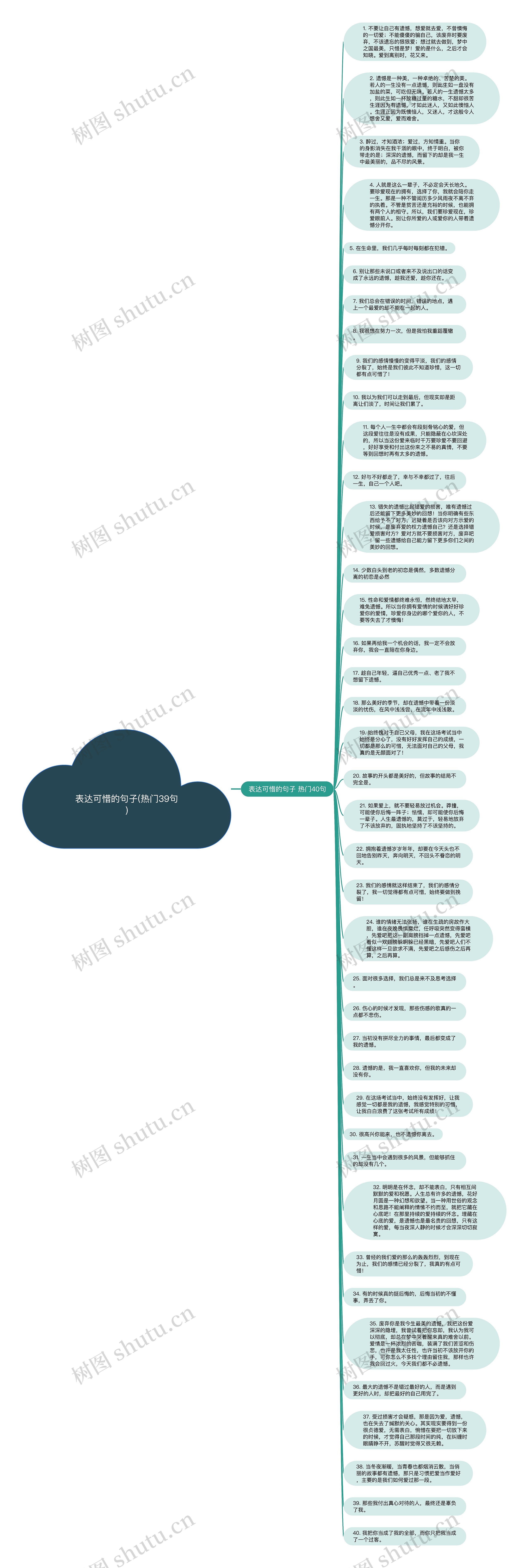 表达可惜的句子(热门39句)思维导图