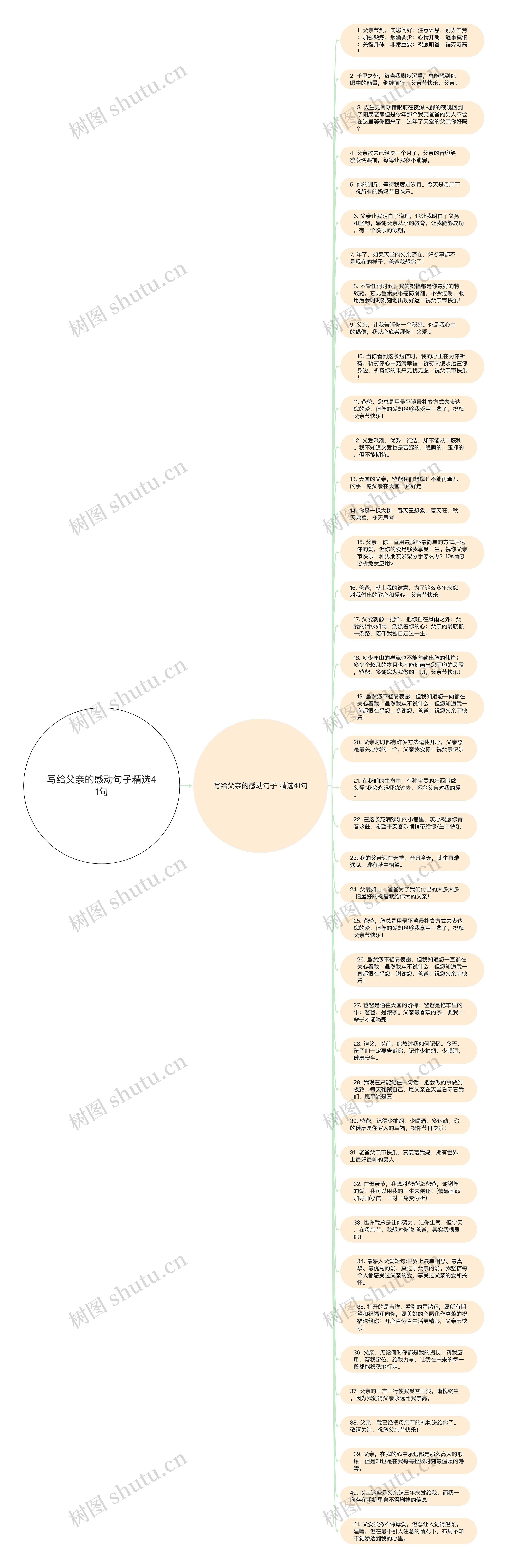 写给父亲的感动句子精选41句思维导图