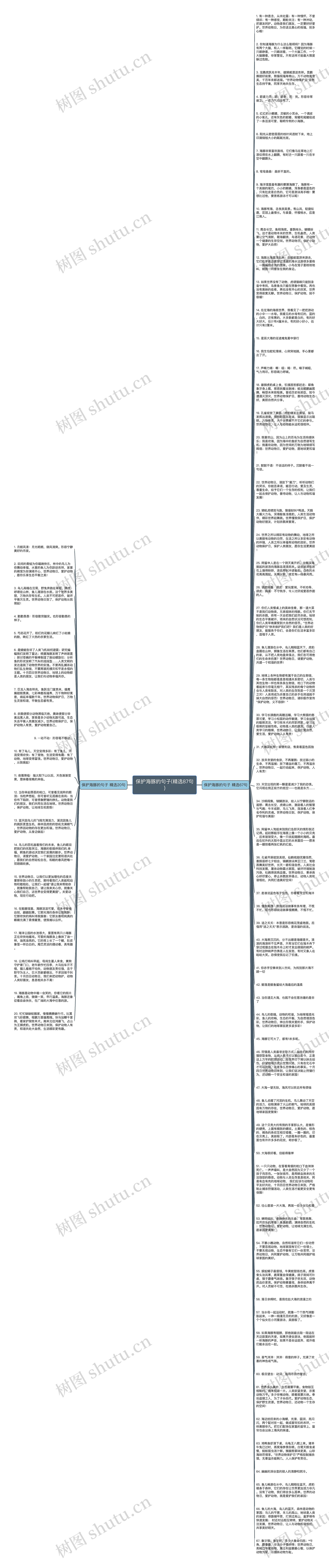 保护海豚的句子(精选87句)思维导图