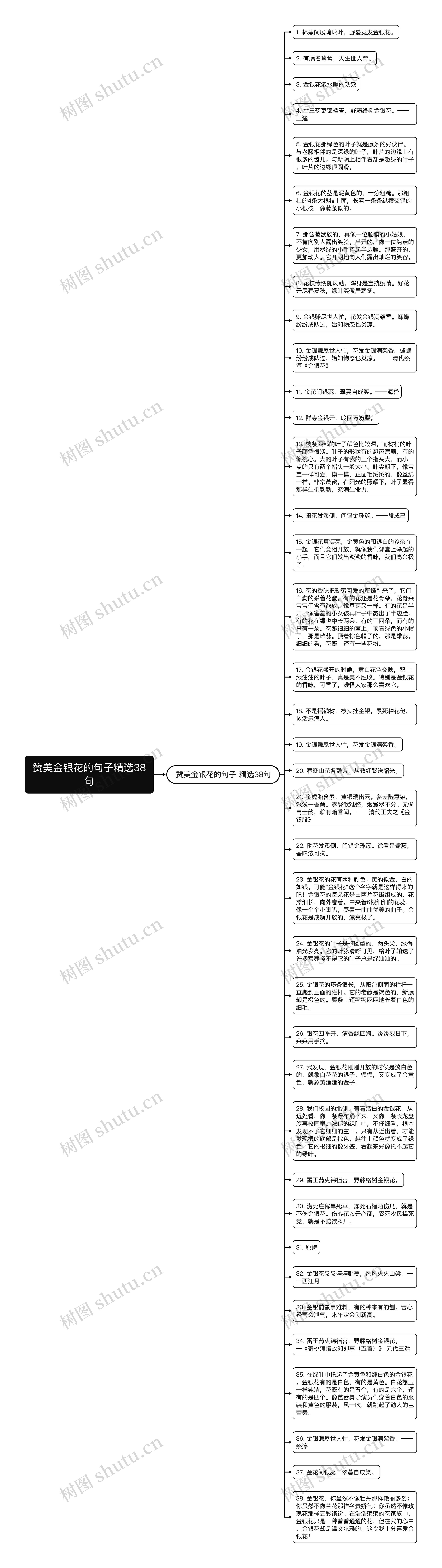 赞美金银花的句子精选38句思维导图