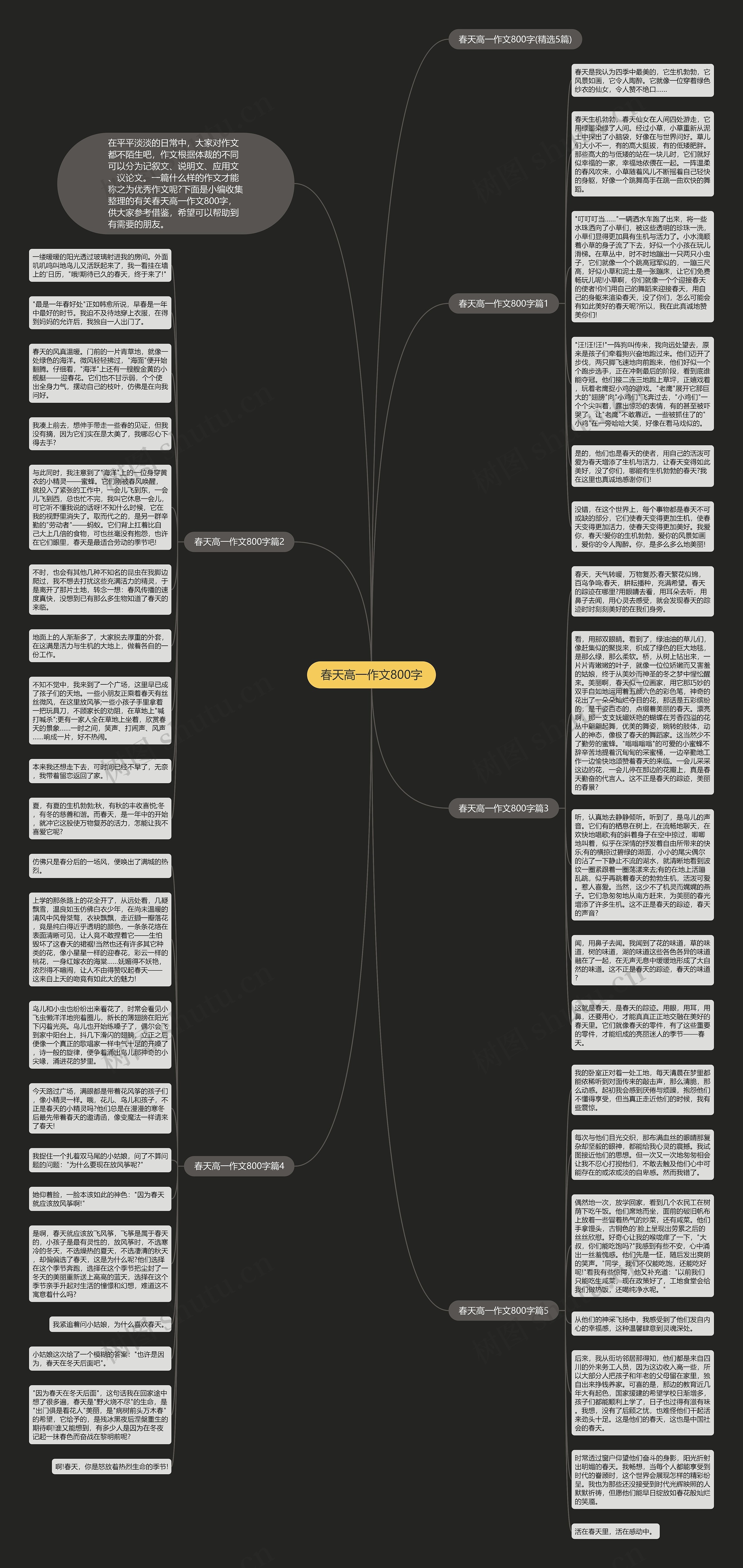 春天高一作文800字思维导图