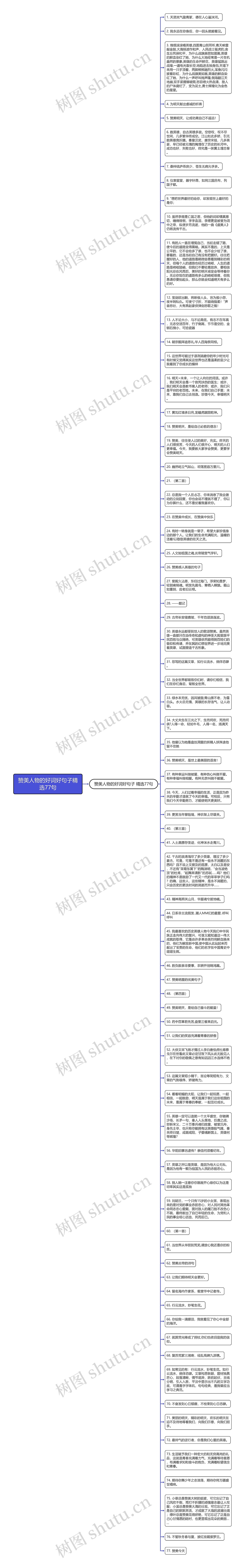 赞美人物的好词好句子精选77句思维导图