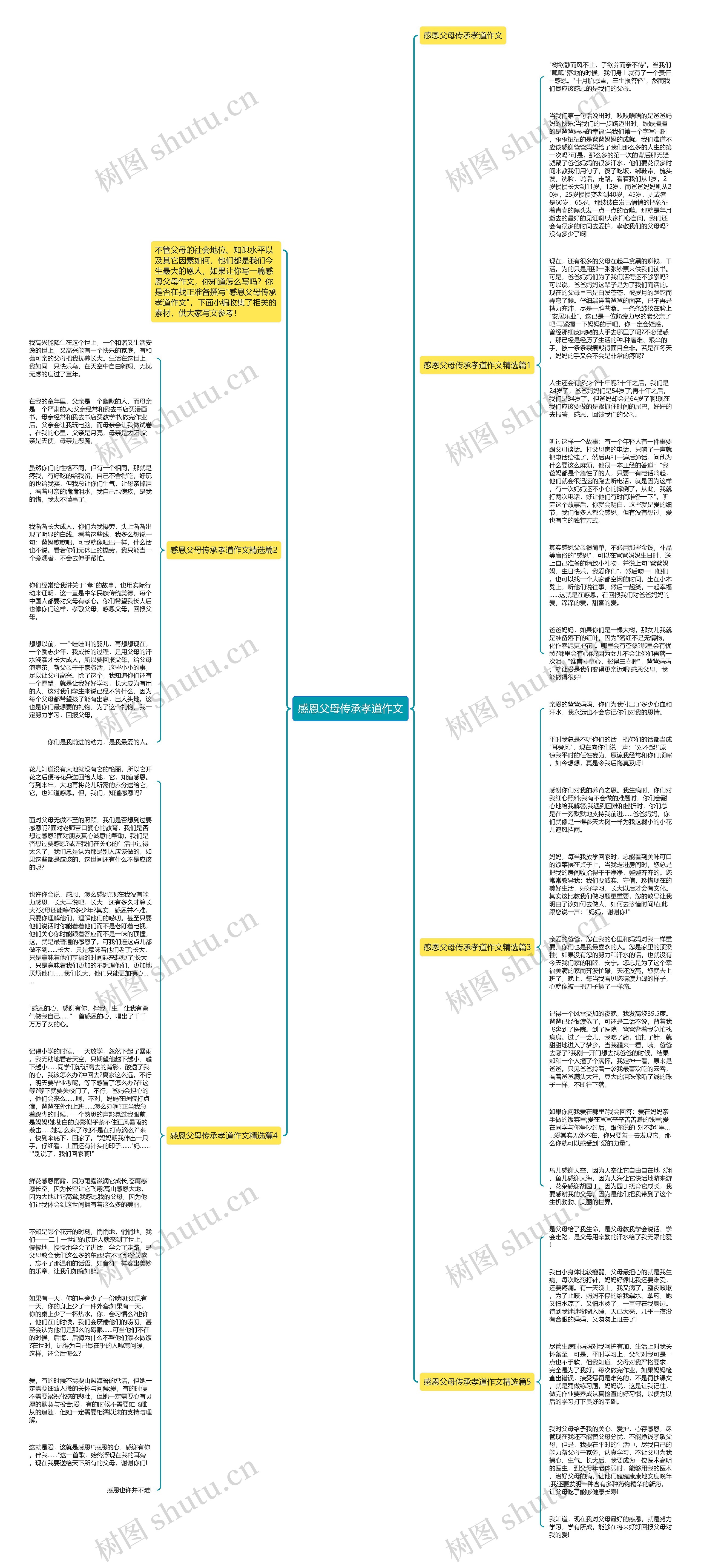 感恩父母传承孝道作文思维导图