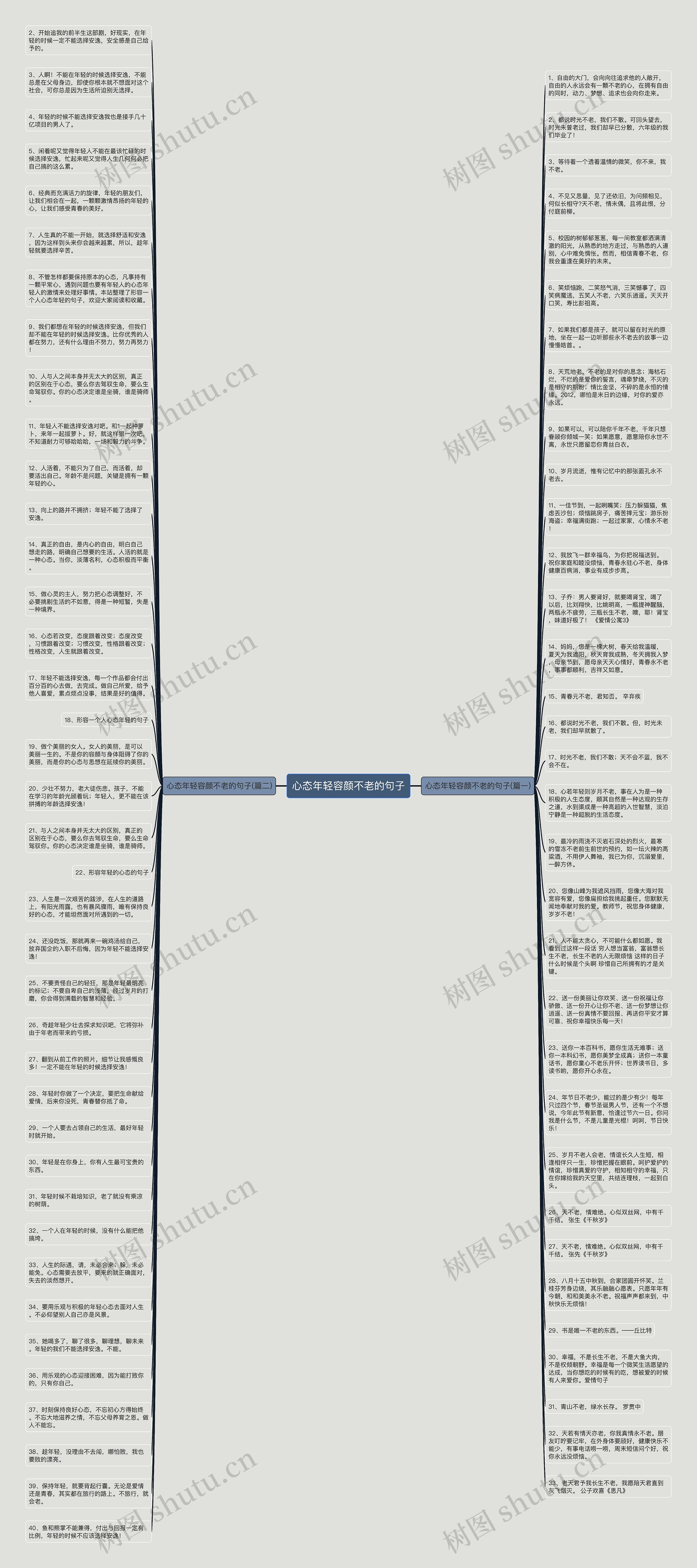心态年轻容颜不老的句子思维导图