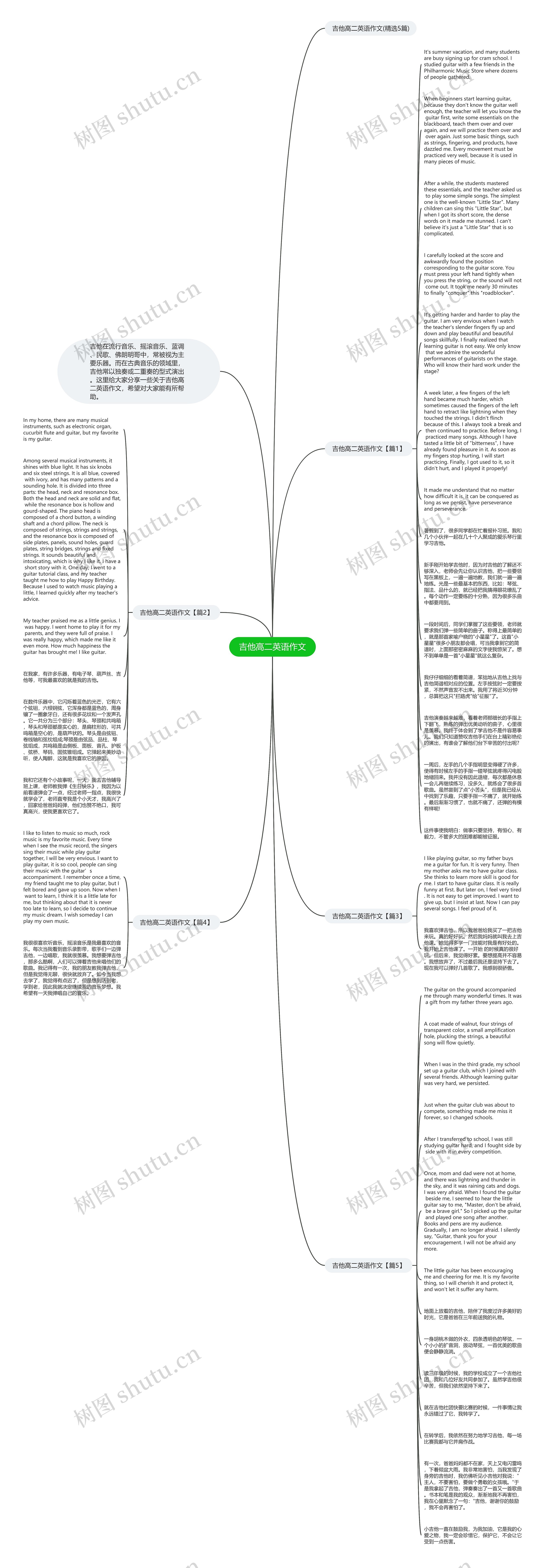 吉他高二英语作文思维导图