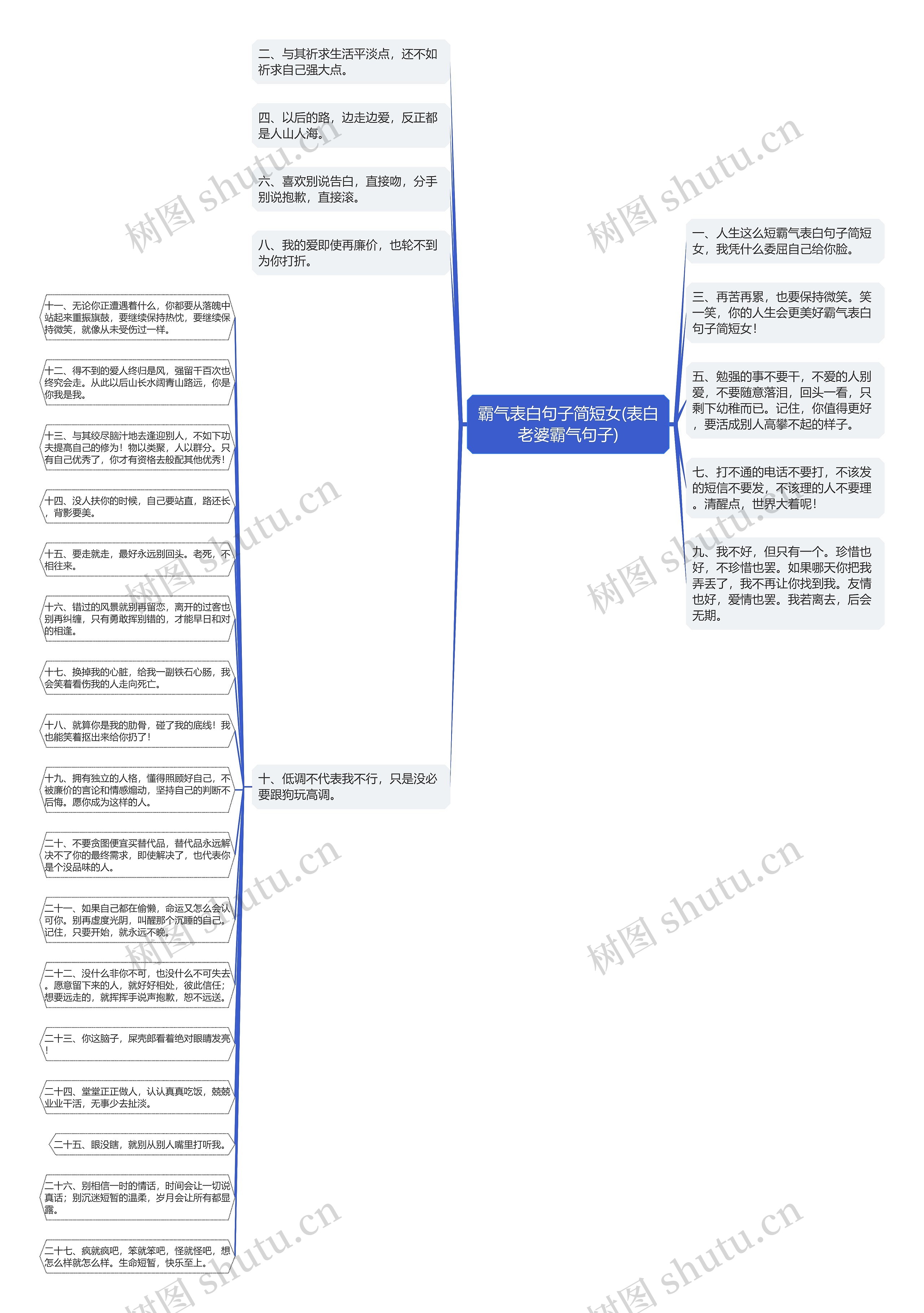 霸气表白句子简短女(表白老婆霸气句子)思维导图