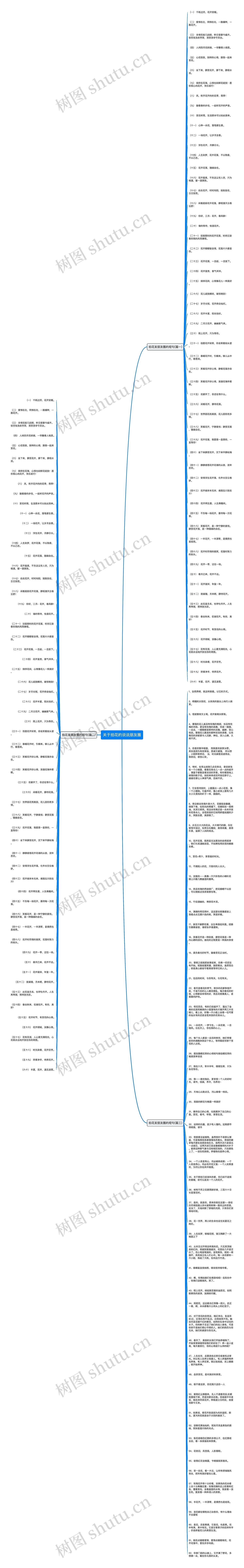 关于拍花的说说朋友圈思维导图