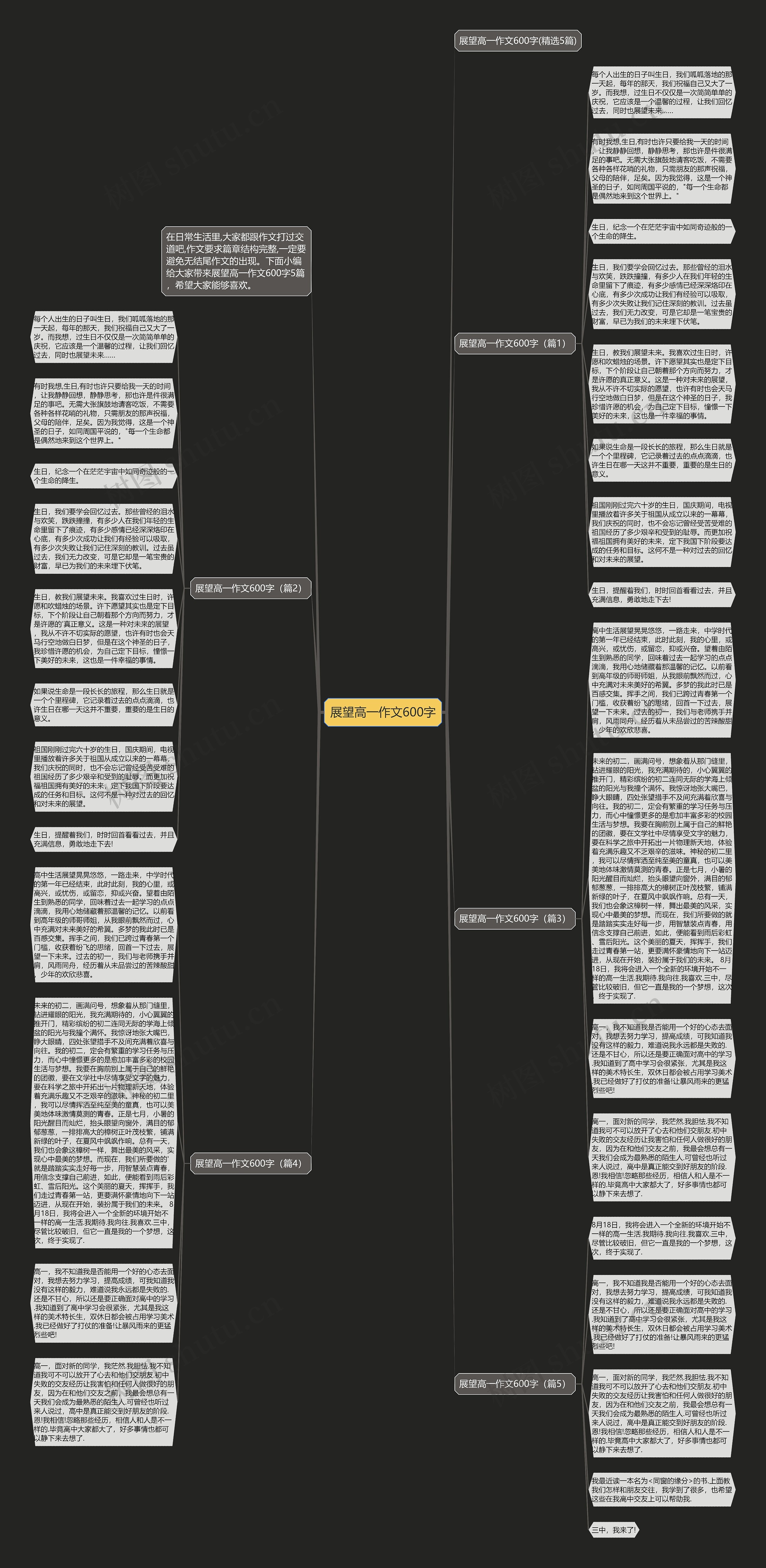 展望高一作文600字思维导图