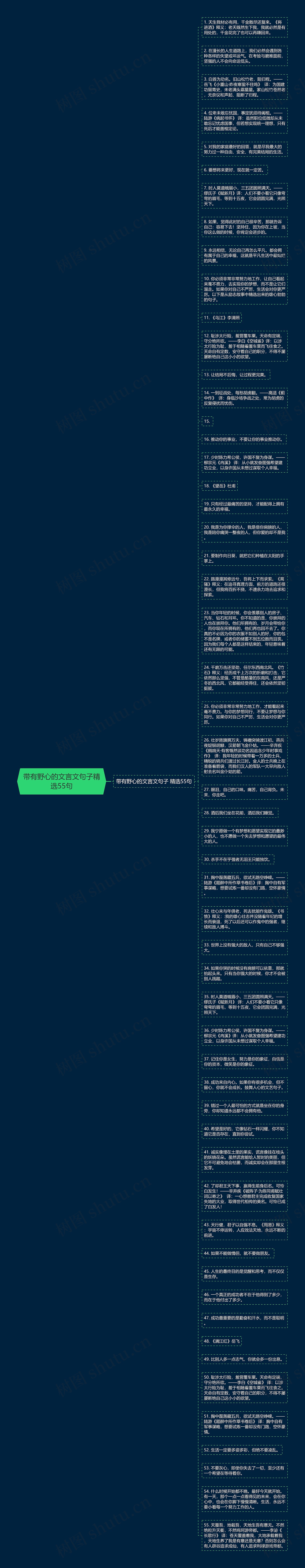 带有野心的文言文句子精选55句思维导图