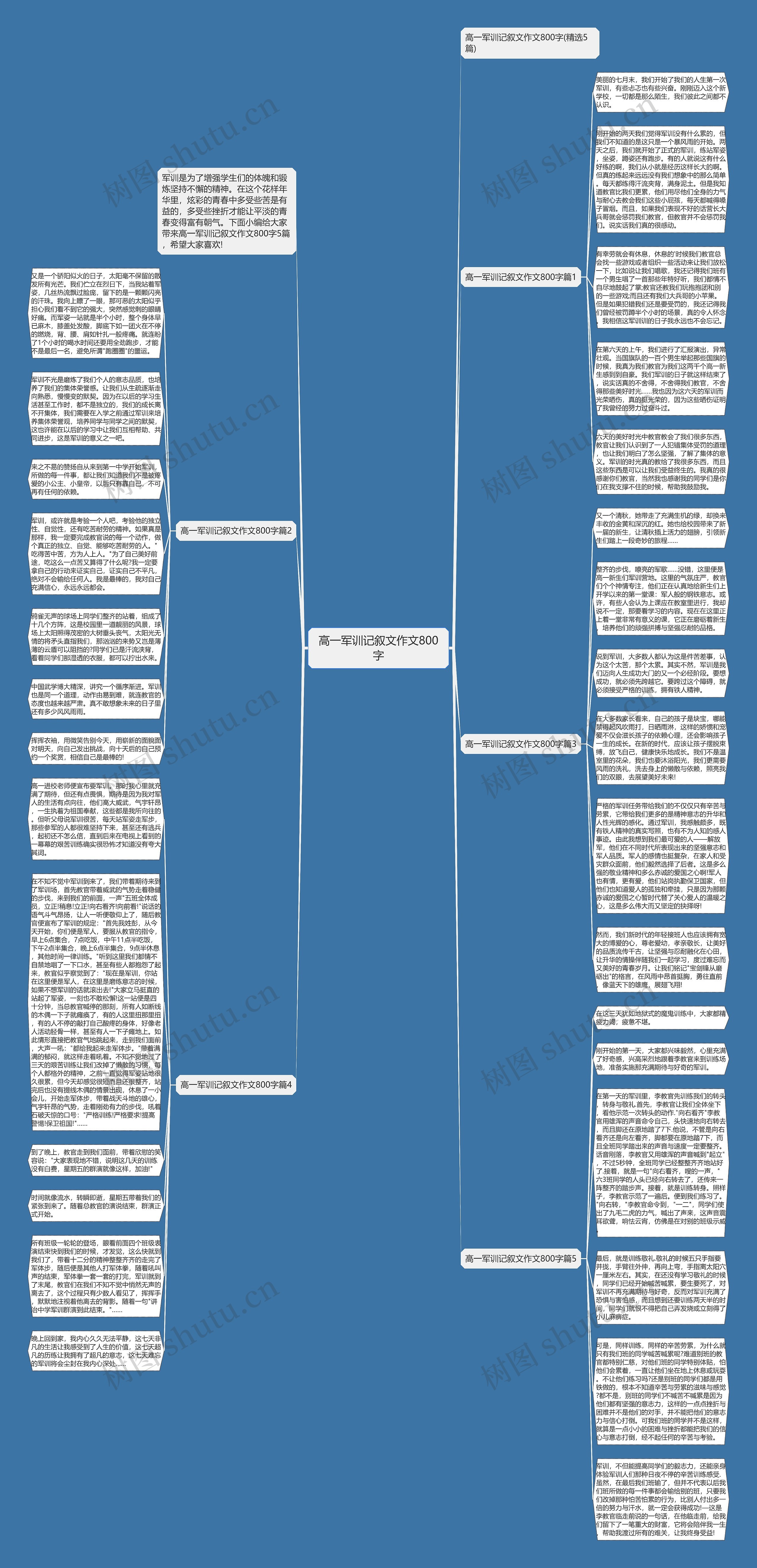 高一军训记叙文作文800字思维导图