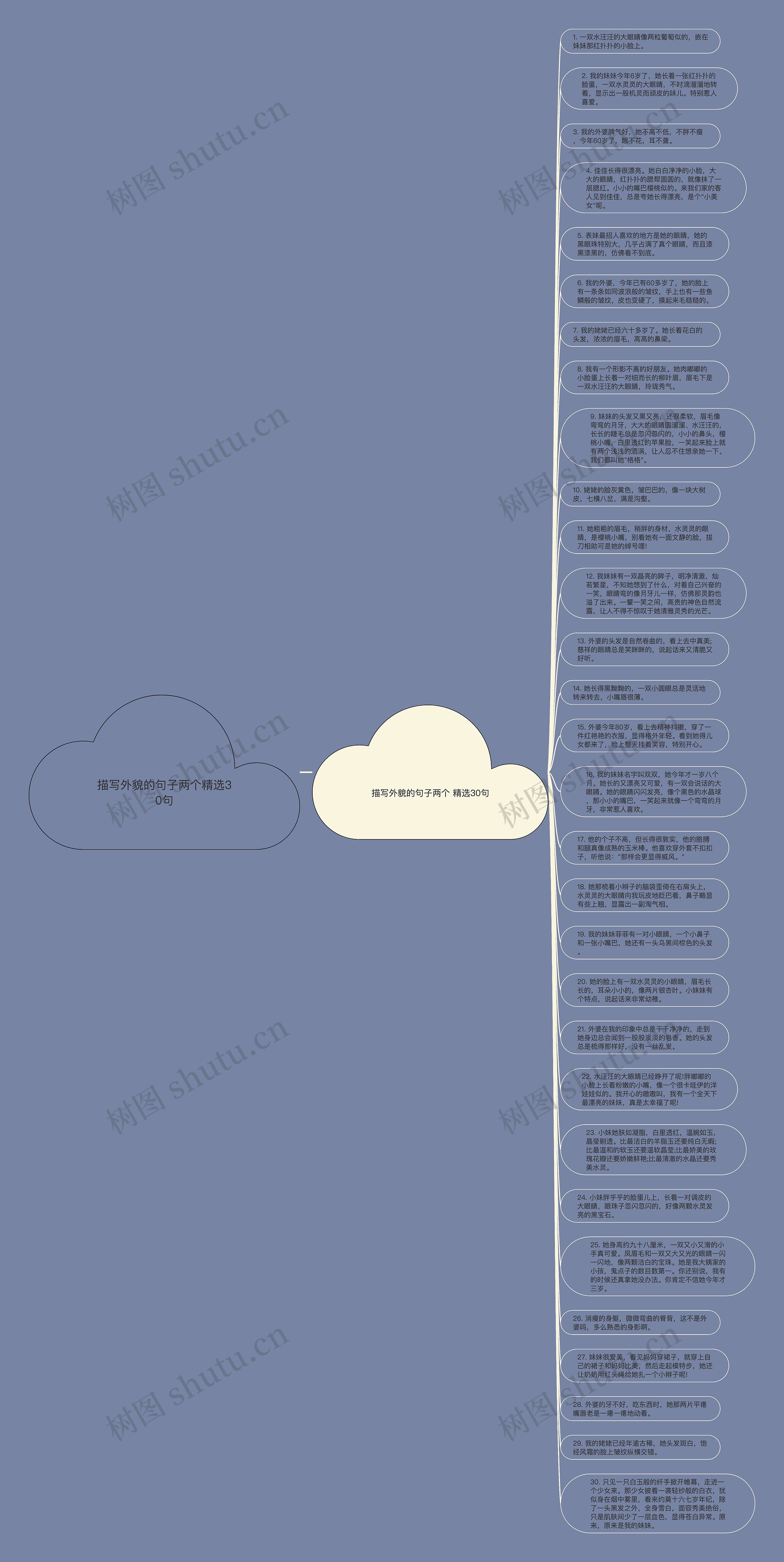 描写外貌的句子两个精选30句思维导图