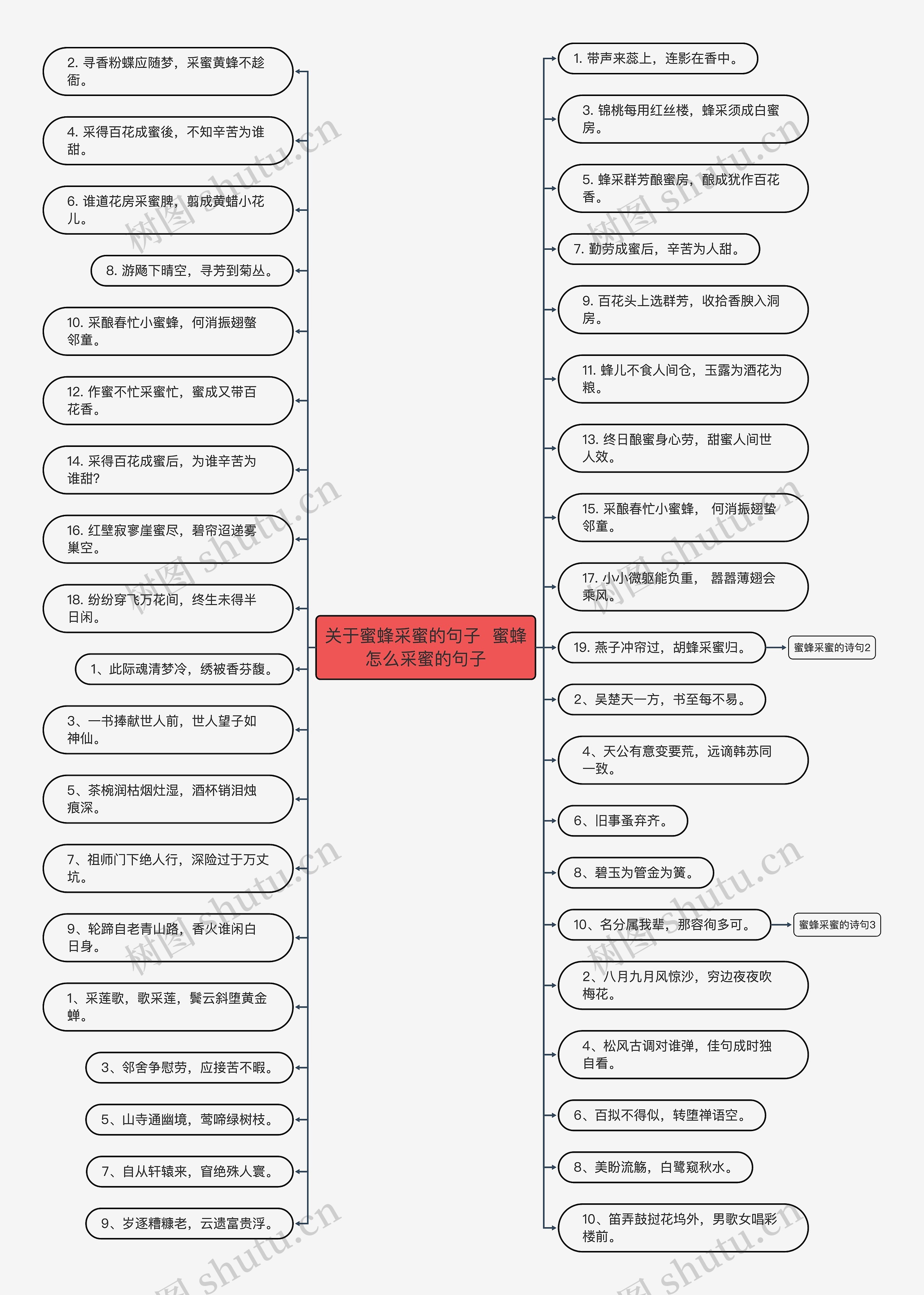 关于蜜蜂采蜜的句子  蜜蜂怎么采蜜的句子思维导图