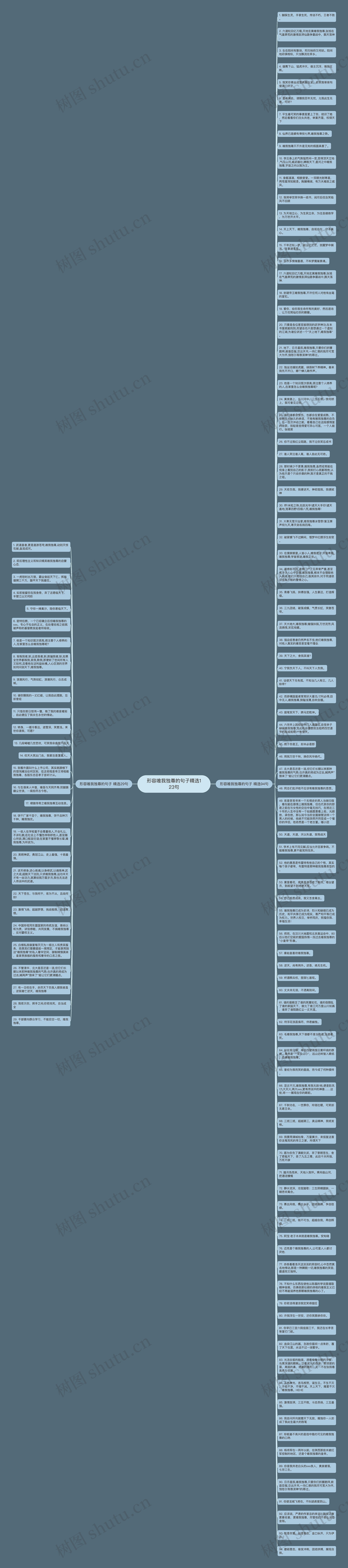 形容唯我独尊的句子精选123句思维导图