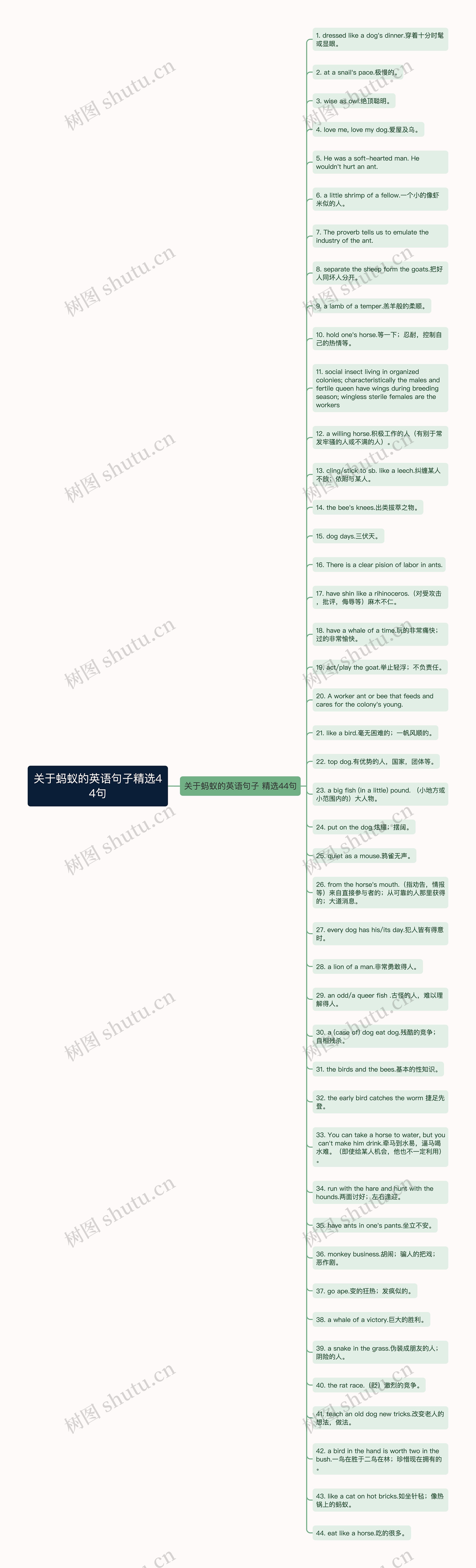 关于蚂蚁的英语句子精选44句