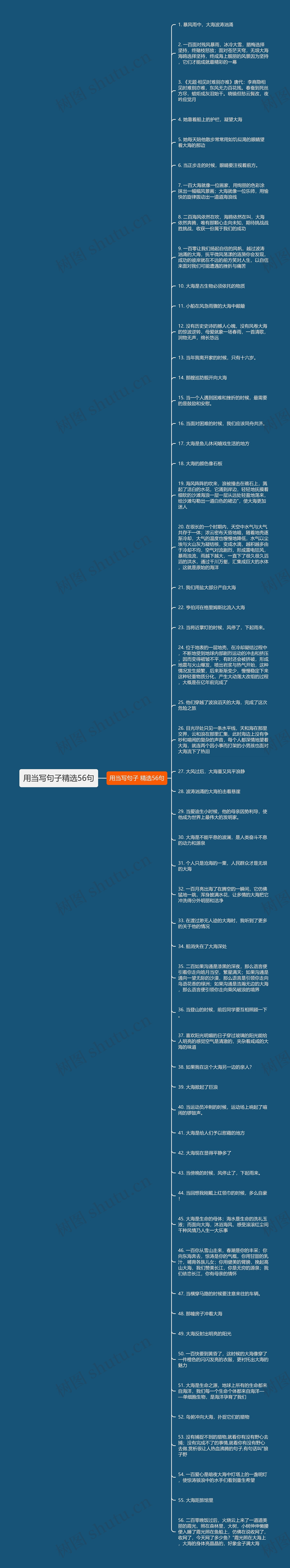 用当写句子精选56句