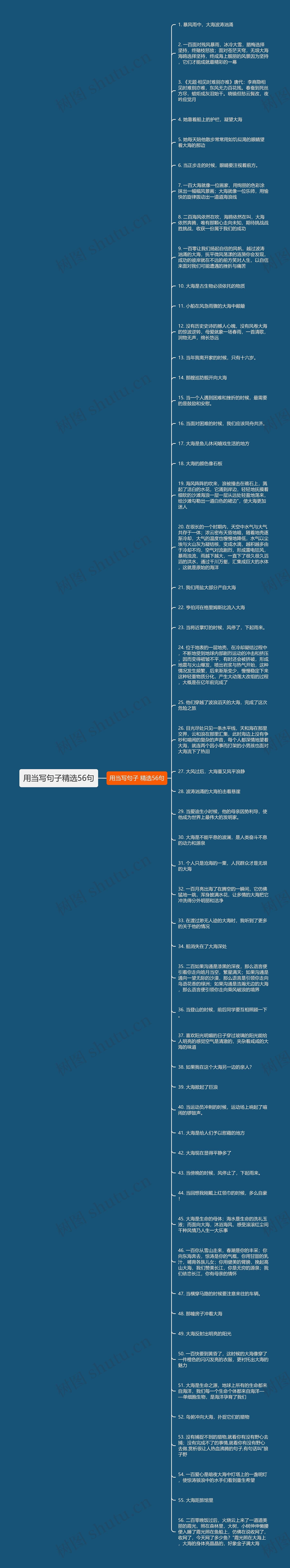 用当写句子精选56句思维导图